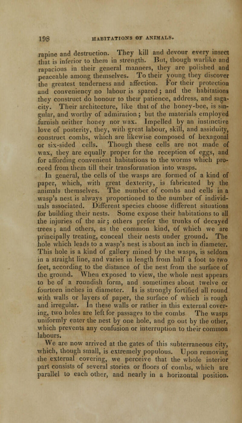 rapine and destruction. They kill and devour every insect that is inferior to them in strength. But, though warlike and rapacious in their general manners, they are polished and peaceahle among themselves. To their young they discover the greatest tenderness and affection. For their protection and conveniency no labour is spared; and the habitations they construct do honour to their patience, address, and saga- city. Their architecture, like that of the honey-bee, is sin- gular, and worthy of admiration; but the materials employed furnish neither honey nor wax. Impelled by an instinctive love of posterity, they, with great labour, skill, and assiduity, construct combs, which are likewise composed of hexagonal or six-sided cells. Though these cells are not made of wax, they are equally proper for the reception of eggs, and for affording convenient habitations to the worms which pro- ceed from them till their transformation into wasps. In general, the cells of the wasps are formed of a kind of paper, which, with great dexterity, is fabricated by the animals themselves. The number of combs and cells in a wasp's nest is always proportioned to the number of individ- uals associated. Different species choose different situations for building their nests. Some expose their habitations to all the injuries of the air; others prefer the trunks of decayed trees ; and others, as the common kind, of which we are principally treating, conceal their nests under ground. The hole which leads to a wasp's nest is about an inch in diameter. This hole is a kind of gallery mined by the wasps, is seldom in a straight line, and varies in length from half a foot to two feet, according to the distance of the nest from the surface of the ground. When exposed to view, the whole nest appears to be of a roundish form, and sometimes about twelve or fourteen inches in diameter. Is is strongly fortified all round with walls or layers of paper, the surface of which is rough and irregular. In these walls or rather in this external cover- ing, two holes are left for passages to the combs The wasps uniformly enter the nest by one hole, and go out by the other, which prevents any confusion or interruption to their common labours. We are now arrived at the gates of this subterraneous city, which, though small, is extremely populous. Upon removing the external covering, we perceive that the whole interior part consists of several stories or floors of combs, which are parallel to each other, and nearly in a horizontal position.