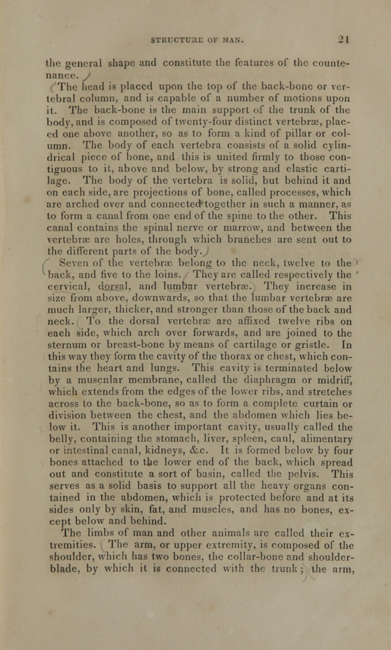 the general shape and constitute the features of the counte- nance . : The head is placed upon the top of the back-bone or ver- tebral column, and is capable of a number of motions upon it. The back-bone is the main support of the trunk of the body, and is composed of twenty-four distinct vertebrae, plac- ed one above another, so as to form a kind of pillar or col- umn. The body of each vertebra consists of a solid cylin- drical piece of bone, and this is united firmly to those con- tiguous to it, above and below, by strong and elastic carti- lage. The body of the vertebra is solid, but behind it and on each side, are projections of bone, called processes, which are arched over and connected1 together in such a manner, as to form a canal from one end of the spine to the other. This canal contains the spinal nerve or marrow, and between the vertebrae arc holes, through which branches are sent out to the different parts of the body. Seven of the vertebrae belong to the neck, twelve to the ' ^back, and five to the loins. They are called respectively the cervical, dorsal, and lumbar vertebrae. They increase in size from above, downwards, so that the lumbar vertebrae are much larger, thicker, and stronger than those of the back and neck. To the dorsal vertebrae are affixed twelve ribs on each side, which arch over forwards, and are joined to the sternum or breast-bone by means of cartilage or gristle. In this way they form the cavity of the thorax or chest, which con- tains the heart and lungs. This cavity is terminated below by a muscnlar membrane, called the diaphragm or midriff, which extends from the edges of the lower ribs, and stretches across to the back-bone, so as to form a complete curtain or division between the chest, and the abdomen which lies be- low it. This is another important cavity, usually called the belly, containing the stomach, liver, spleen, caul, alimentary or intestinal canal, kidneys, &c. It is formed below by four bones attached to the lower end of the back, which spread out and constitute a sort of basin, called the pelvis. This serves as a solid basis to support all the heavy organs con- tained in the abdomen, which is protected before and at its sides only by skin, fat, and muscles, and has no bones, ex- cept below and behind. The limbs of man and other animals are called their ex- tremities. The arm, or upper extremity, is composed of the shoulder, which has two bones, the collar-bone and shoulder- blade, by which it is connected with the trunk ; the arm,