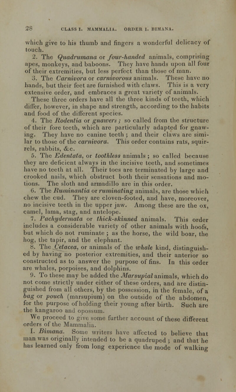 which give to his thumb and fingers a wonderful delicacy of touch. 2. The Qaadrumana or four-handed animals, comprising apes, monkeys, and baboons. They have hands upon all four of their extremities, but less perfect than those of man. 3. The Carnivora or carnivorous animals. These have no hands, but their feet are furnished with claws. This is a very extensive order, and embraces a great variety of animals. These three orders have all the three kinds of teeth, which differ, however, in shape and strength, according to the habits and food of the different species. 4. The Rodentia or gnaivers ; so called from the structure of their fore teeth, which are particularly adapted for gnaw- ing. They have no canine teeth ; and their claws are simi- lar to those of the carnivora. This order contains rats, squir- rels, rabbits, &c. 5. The Edentata, or toothless animals ; so called because they are deficient always in the incisive teeth, and sometimes have no teeth at all. Their toes are terminated by large and crooked nails, which obstruct both their sensations and mo- tions. The sloth and armadillo are in this order. 6. The Ruminantia or ruminating animals, are those which chew the cud. They are cloven-footed, and have, moreover, no incisive teeth in the upper jaw. Among these are the ox, camel, lama, stag, and antelope. 7. Fachydermata or thick-skinned animals. This order includes a considerable variety of other animals with hoofs, but which do not ruminate ; as the horse, the wild boar, the hog, the tapir, and the elephant. 8. The Cetacea, or animals of the whale kind, distinguish- ed by having no posterior extremities, and their anterior so constructed as to answer the purpose of fins. In this order are whales, porpoises, and dolphins. 9. To these may be added the Marsupial animals, which do not come strictly under either of these orders, and are distin- guished from all others, by the possession, in the female, of a bag or pouch (marsupium) on the outside of the abdomen, for the purpose of holding their young after birth. Such are the kangaroo and opossum. We proceed to give some further account of these different orders of the Mammalia. I. Bimana. Some writers have affected to believe that man was originally intended to be a quadruped ; and that he has learned only from long experience the mode of walking