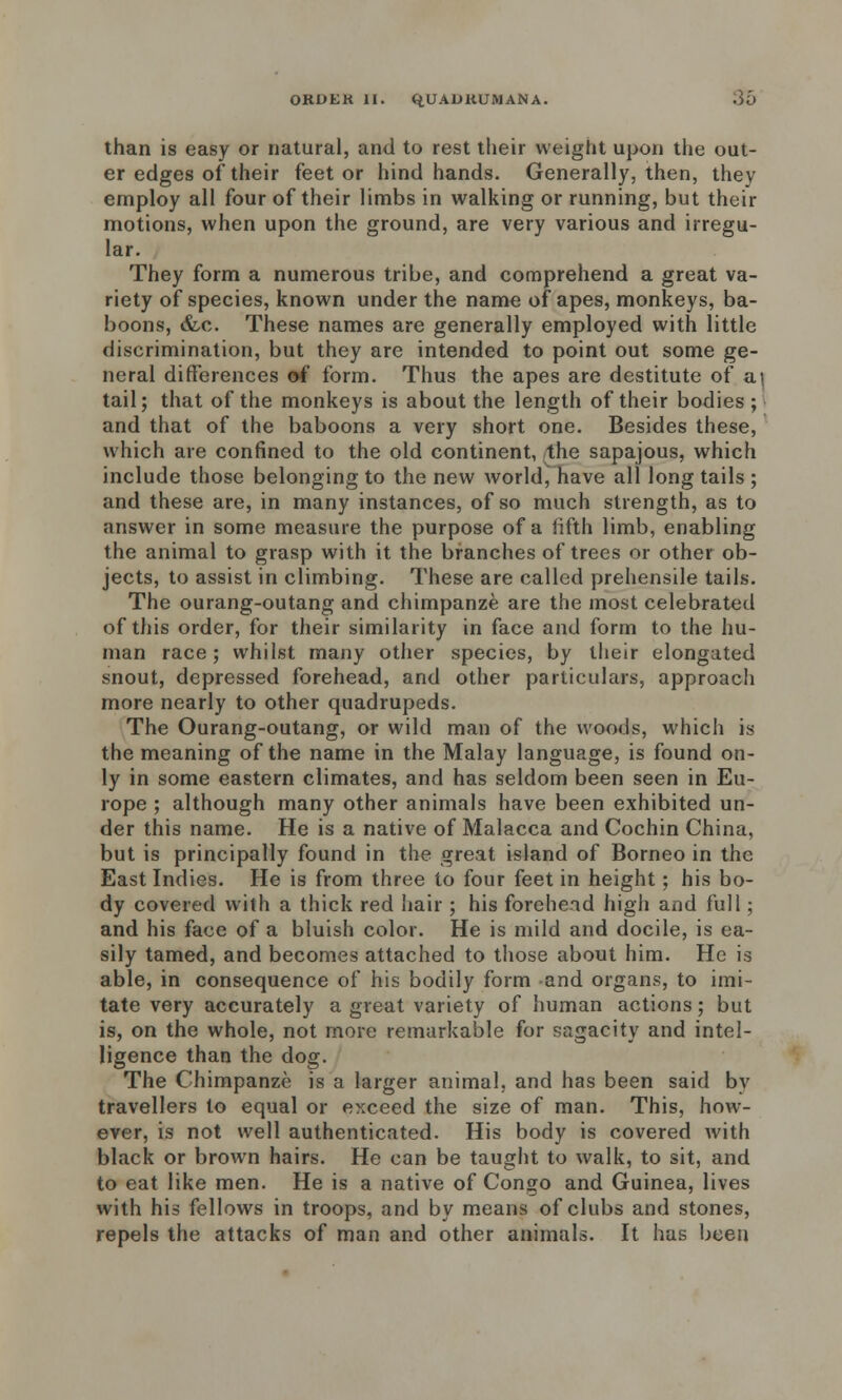 than is easy or natural, and to rest their weight upon the out- er edges of their feet or hind hands. Generally, then, they employ all four of their limbs in walking or running, but their motions, when upon the ground, are very various and irregu- lar. They form a numerous tribe, and comprehend a great va- riety of species, known under the name of apes, monkeys, ba- boons, &c. These names are generally employed with little discrimination, but they are intended to point out some ge- neral differences of form. Thus the apes are destitute of ai tail; that of the monkeys is about the length of their bodies ; and that of the baboons a very short one. Besides these, which are confined to the old continent, the sapajous, which include those belonging to the new world, have all long tails ; and these are, in many instances, of so much strength, as to answer in some measure the purpose of a fifth limb, enabling the animal to grasp with it the branches of trees or other ob- jects, to assist in climbing. These are called prehensile tails. The ourang-outang and chimpanze are the most celebrated of this order, for their similarity in face and form to the hu- man race; whilst many other species, by their elongated snout, depressed forehead, and other particulars, approach more nearly to other quadrupeds. The Ourang-outang, or wild man of the woods, which is the meaning of the name in the Malay language, is found on- ly in some eastern climates, and has seldom been seen in Eu- rope ; although many other animals have been exhibited un- der this name. He is a native of Malacca and Cochin China, but is principally found in the great island of Borneo in the East Indies. He is from three to four feet in height; his bo- dy covered with a thick red hair ; his forehead high and full; and his face of a bluish color. He is mild and docile, is ea- sily tamed, and becomes attached to those about him. He is able, in consequence of his bodily form and organs, to imi- tate very accurately a great variety of human actions; but is, on the whole, not more remarkable for sagacity and intel- ligence than the dog. The Chimpanze is a larger animal, and has been said by travellers to equal or exceed the size of man. This, how- ever, is not well authenticated. His body is covered with black or brown hairs. He can be taught to walk, to sit, and to eat like men. He is a native of Congo and Guinea, lives with his fellows in troops, and by means of clubs and stones, repels the attacks of man and other animals. It has been