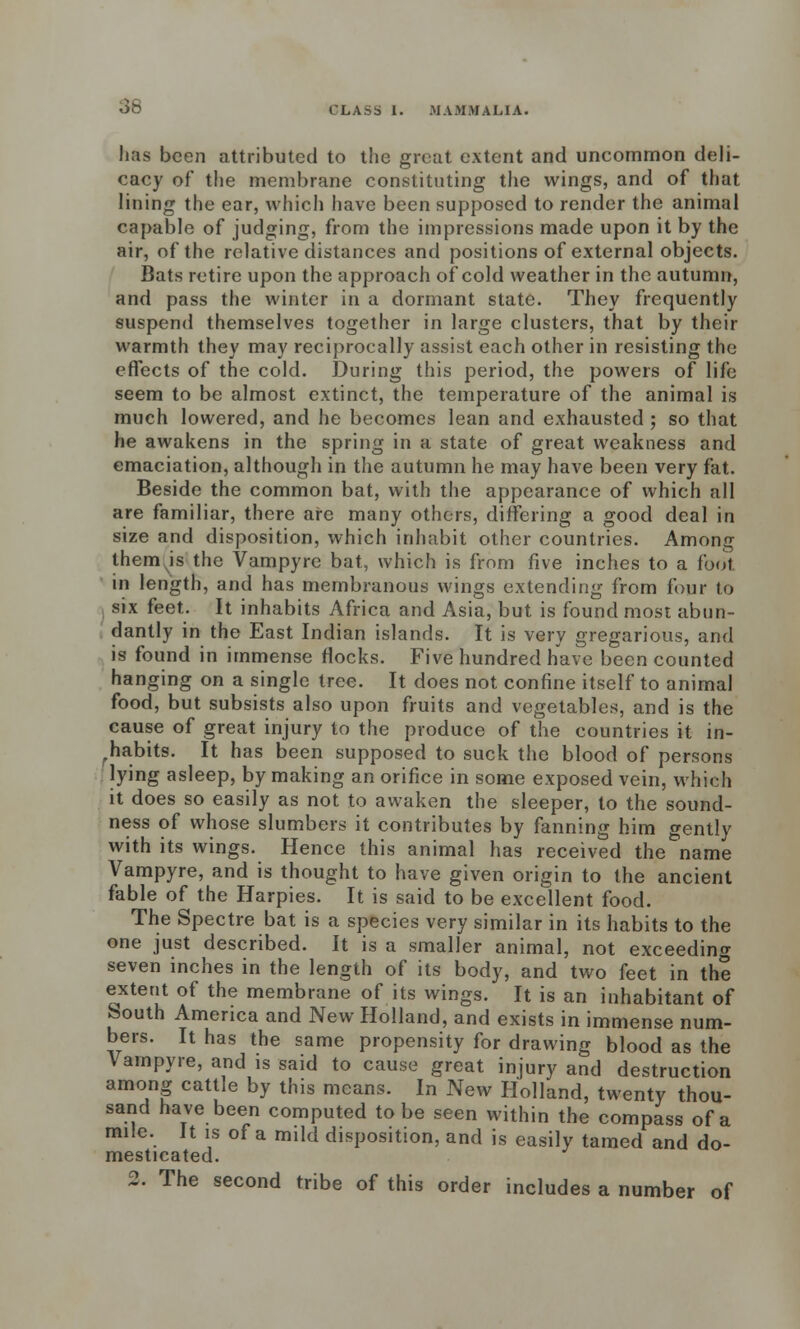 lias been attributed to the great extent and uncommon deli- cacy of the membrane constituting the wings, and of that lining the ear, which have been supposed to render the animal capable of judging, from the impressions made upon it by the air, of the relative distances and positions of external objects. Bats retire upon the approach of cold weather in the autumn, and pass the winter in a dormant state. They frequently suspend themselves together in large clusters, that by their warmth they may reciproeally assist each other in resisting the effects of the cold. During this period, the powers of life seem to be almost extinct, the temperature of the animal is much lowered, and he becomes lean and exhausted ; so that he awakens in the spring in a state of great weakness and emaciation, although in the autumn he may have been very fat. Beside the common bat, with the appearance of which all are familiar, there arc many others, differing a good deal in size and disposition, which inhabit other countries. Among them is the Vampyre bat, which is from five inches to a foot in length, and has membranous wings extending from four to six feet. It inhabits Africa and Asia, but is found most abun- dantly in the East Indian islands. It is very gregarious, and is found in immense flocks. Five hundred have been counted hanging on a single tree. It does not confine itself to animal food, but subsists also upon fruits and vegetables, and is the cause of great injury to the produce of the countries it in- habits. It has been supposed to suck the blood of persons lying asleep, by making an orifice in some exposed vein, which it does so easily as not to awaken the sleeper, to the sound- ness of whose slumbers it contributes by fanning him gently with its wings. Hence this animal has received the name Vampyre, and is thought to have given origin to the ancient fable of the Harpies. It is said to be excellent food. The Spectre bat is a species very similar in its habits to the one just described. It is a smaller animal, not exceeding seven inches in the length of its body, and two feet in the extent of the membrane of its wings. It is an inhabitant of South America and New Holland, and exists in immense num- bers. It has the same propensity for drawing blood as the Vampyre, and is said to cause great injury and destruction among cattle by this means. In New Holland, twenty thou- sand have been computed to be seen within the compass of a mile. It is of a mild disposition, and is easily tamed and do- mesticated.