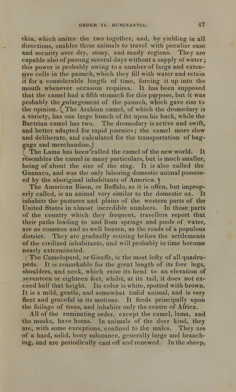 skin, which unites the two together, and, by yielding in all directions, enables these animals to travel with peculiar ease and security over dry, stony, and sandy regions. They are capable also of passing several days without a supply of water ; this power is probably owing to a number of large and exten- sive cells in the paunch, which they fill with water and retain it for a considerable length of time, forcing it up into the mouth whenever occasion requires. It has been supposed that the camel had a fifth stomach for this purpose, but it was probably the enlargement of the paunch, which gave rise to the opinion. ^ The Arabian camel, of which the dromedary is a variety, has one large bunch of fat upon his back, while the Bactrian camel has two. The dromedary is active and swift, and better adapted for rapid journies ; the camel more slow and deliberate, and calculated for the transportation of bag- ?age and merchandise. The Lama has been'called the camel of the new world. It resembles the camel in many particulars, but is much smaller, being of about the size of the stag. It is also called the Guanaco, and was the only laboring domestic animal possess- ed by the aboriginal inhabitants of America. V The American Bison, or Buffalo, as it is often, but improp- erly called, is an animal very similar to the domestic ox. It inhabits the pastures and plains of the western parts of the United States in almost incredible numbers. In those parts of the country which they frequent, travellers report that their paths leading to and from springs and pools of water, are as common and as well beaten, as the roads of a populous district. They are gradually retiring before the settlements of the civilized inhabitants, and will probably in time become nearly exterminated. The Camelopard, or Giraffe, is the most lofty of all quadru- peds. It is remarkable for the great length of its fore legs, shoulders, and neck, which raise its head to an elevation of seventeen or eighteen feet, whilst, at its tail, it does not ex- ceed half that height. Its color is white, spotted with brown. It is a mild, gentle, and somewhat timid animal, and is very fleet and graceful in its motions. It feeds principally upon the foilage of trees, and inhabits only the centre of Africa. All of the ruminating order, except the camel, lama, and the musks, have horns. In animals of the deer kind, they are, with some exceptions, confined to the males. They are of a hard, solid, bony substance, generally large and branch- ing, and are periodically cast off and renewed. In the sheep,