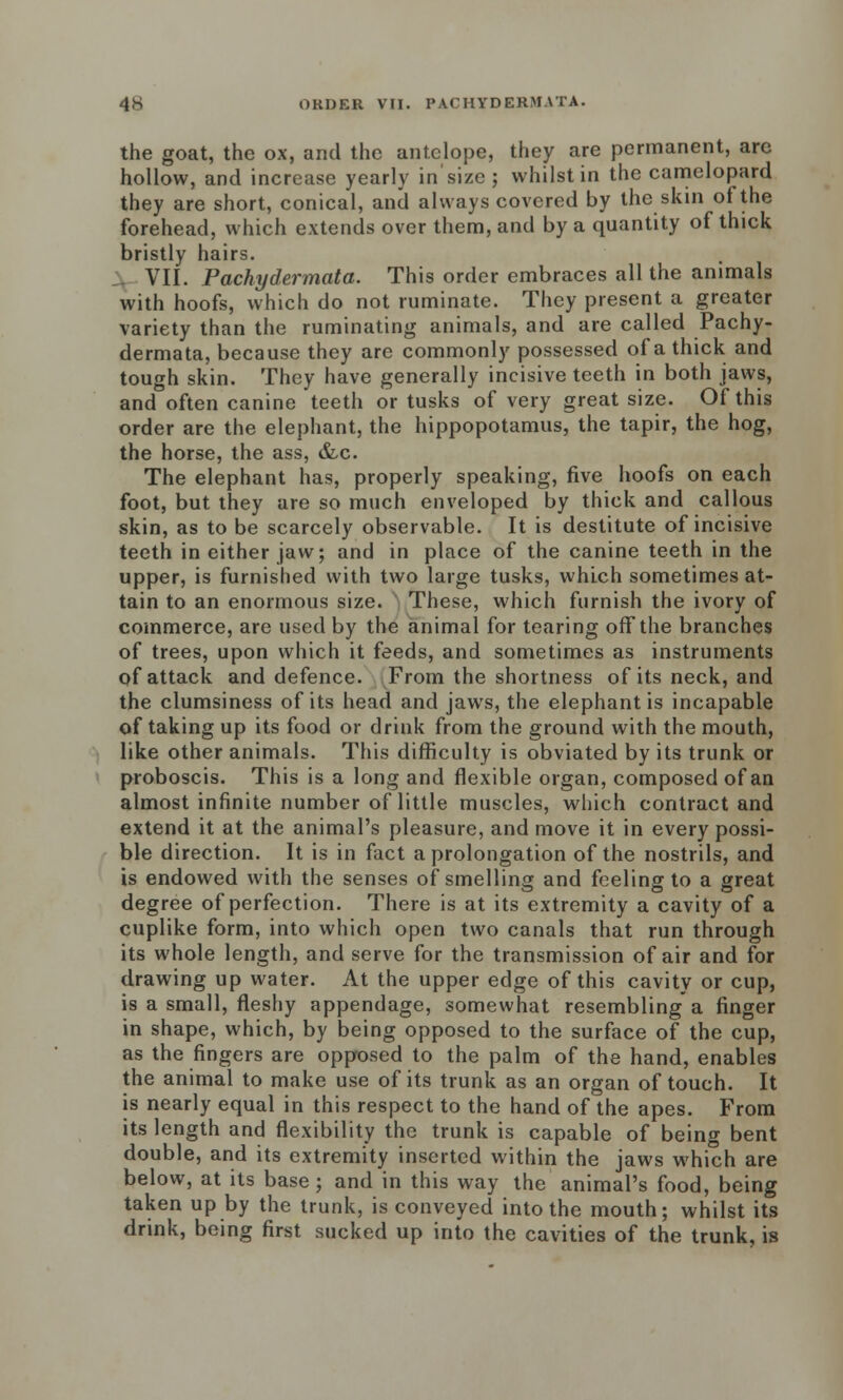 the goat, the ox, and the antelope, they are permanent, arc hollow, and increase yearly in size ; whilst in the camelopard they are short, conical, and always covered by the skin of the forehead, which extends over them, and by a quantity of thick bristly hairs. V VII. Pachydermata. This order embraces all the animals with hoofs, which do not ruminate. They present a greater variety than the ruminating animals, and are called Pachy- dermata, because they are commonly possessed of a thick and tough skin. They have generally incisive teeth in both jaws, and often canine teeth or tusks of very great size. Of this order are the elephant, the hippopotamus, the tapir, the hog, the horse, the ass, &c. The elephant has, properly speaking, five hoofs on each foot, but they are so much enveloped by thick and callous skin, as to be scarcely observable. It is destitute of incisive teeth in either jaw; and in place of the canine teeth in the upper, is furnished with two large tusks, which sometimes at- tain to an enormous size. These, which furnish the ivory of commerce, are used by the animal for tearing off the branches of trees, upon which it feeds, and sometimes as instruments of attack and defence. From the shortness of its neck, and the clumsiness of its head and jaws, the elephant is incapable of taking up its food or drink from the ground with the mouth, like other animals. This difficulty is obviated by its trunk or proboscis. This is a long and flexible organ, composed of an almost infinite number of little muscles, which contract and extend it at the animal's pleasure, and move it in every possi- ble direction. It is in fact a prolongation of the nostrils, and is endowed with the senses of smelling and feeling to a great degree of perfection. There is at its extremity a cavity of a cuplike form, into which open two canals that run through its whole length, and serve for the transmission of air and for drawing up water. At the upper edge of this cavity or cup, is a small, fleshy appendage, somewhat resembling a finger in shape, which, by being opposed to the surface of the cup, as the fingers are opposed to the palm of the hand, enables the animal to make use of its trunk as an organ of touch. It is nearly equal in this respect to the hand of the apes. From its length and flexibility the trunk is capable of being bent double, and its extremity inserted within the jaws which are below, at its base; and in this way the animal's food, being taken up by the trunk, is conveyed into the mouth; whilst its drink, being first sucked up into the cavities of the trunk, is