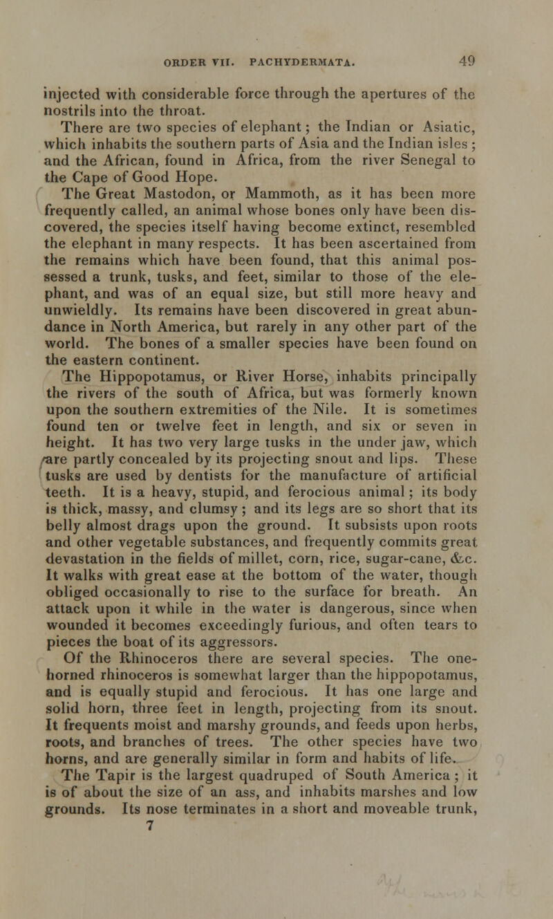 injected with considerable force through the apertures of the nostrils into the throat. There are two species of elephant; the Indian or Asiatic, which inhabits the southern parts of Asia and the Indian isles ; and the African, found in Africa, from the river Senegal to the Cape of Good Hope. The Great Mastodon, or Mammoth, as it has been more frequently called, an animal whose bones only have been dis- covered, the species itself having become extinct, resembled the elephant in many respects. It has been ascertained from the remains which have been found, that this animal pos- sessed a trunk, tusks, and feet, similar to those of the ele- phant, and was of an equal size, but still more heavy and unwieldly. Its remains have been discovered in great abun- dance in North America, but rarely in any other part of the world. The bones of a smaller species have been found on the eastern continent. The Hippopotamus, or River Horse, inhabits principally the rivers of the south of Africa, but was formerly known upon the southern extremities of the Nile. It is sometimes found ten or twelve feet in length, and six or seven in height. It has two very large tusks in the under jaw, which 'are partly concealed by its projecting snout and lips. These tusks are used by dentists for the manufacture of artificial teeth. It is a heavy, stupid, and ferocious animal; its body is thick, massy, and clumsy; and its legs are so short that its belly almost drags upon the ground. It subsists upon roots and other vegetable substances, and frequently commits great devastation in the fields of millet, corn, rice, sugar-cane, &c. It walks with great ease at the bottom of the water, though obliged occasionally to rise to the surface for breath. An attack upon it while in the water is dangerous, since when wounded it becomes exceedingly furious, and often tears to pieces the boat of its aggressors. Of the Rhinoceros there are several species. The one- horned rhinoceros is somewhat larger than the hippopotamus, and is equally stupid and ferocious. It has one large and solid horn, three feet in length, projecting from its snout. It frequents moist and marshy grounds, and feeds upon herbs, roots, and branches of trees. The other species have two horns, and are generally similar in form and habits of life. The Tapir is the largest quadruped of South America; it is of about the size of an ass, and inhabits marshes and low grounds. Its nose terminates in a short and moveable trunk, 7
