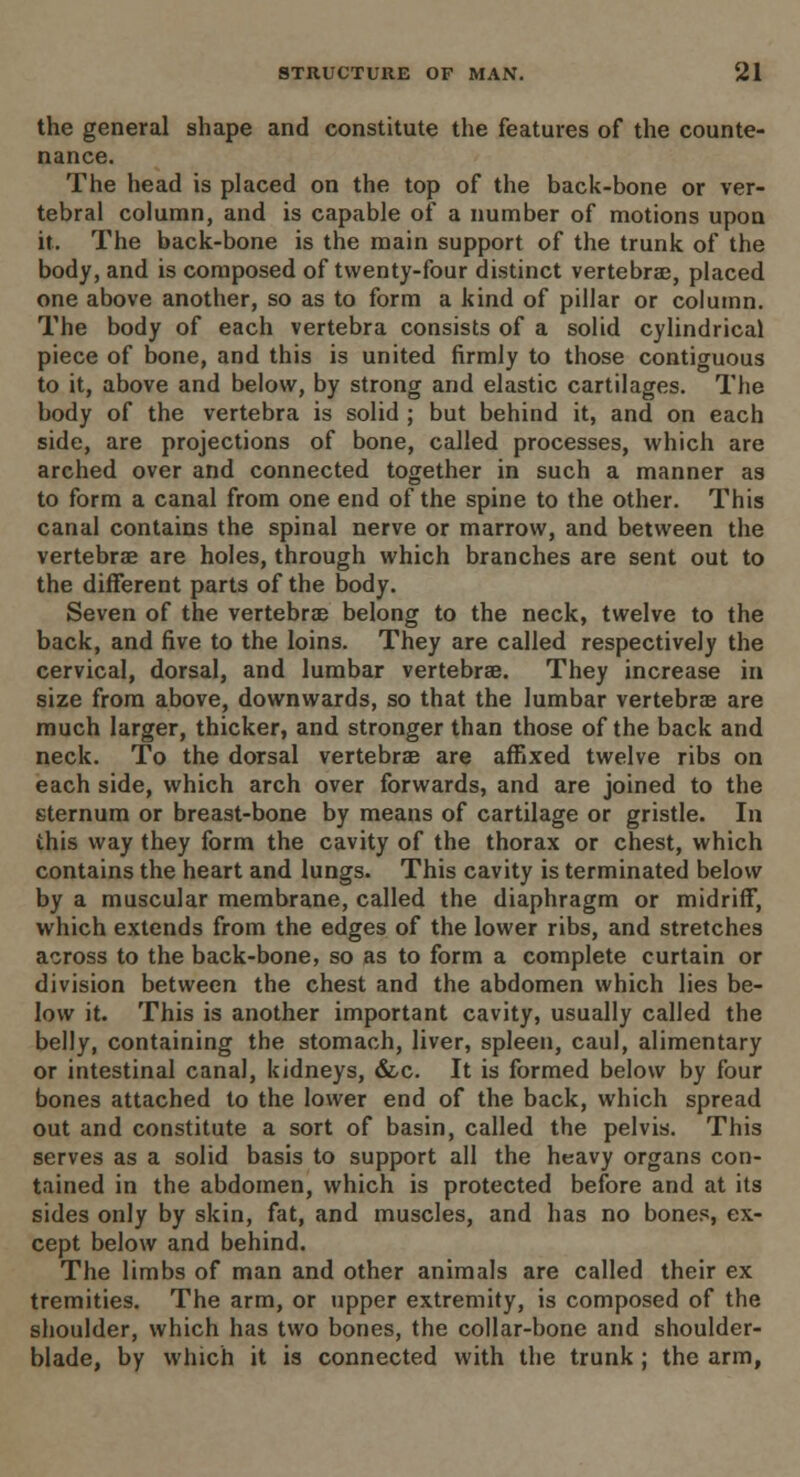 the general shape and constitute the features of the counte- nance. The head is placed on the top of the back-bone or ver- tebral column, and is capable of a number of motions upon it. The back-bone is the main support of the trunk of the body, and is composed of twenty-four distinct vertebra?, placed one above another, so as to form a kind of pillar or column. The body of each vertebra consists of a solid cylindrical piece of bone, and this is united firmly to those contiguous to it, above and below, by strong and elastic cartilages. The body of the vertebra is solid ; but behind it, and on each side, are projections of bone, called processes, which are arched over and connected together in such a manner as to form a canal from one end of the spine to the other. This canal contains the spinal nerve or marrow, and between the vertebrae are holes, through which branches are sent out to the different parts of the body. Seven of the vertebrae belong to the neck, twelve to the back, and five to the loins. They are called respectively the cervical, dorsal, and lumbar vertebra?. They increase in size from above, downwards, so that the lumbar vertebrae are much larger, thicker, and stronger than those of the back and neck. To the dorsal vertebrae are affixed twelve ribs on each side, which arch over forwards, and are joined to the sternum or breast-bone by means of cartilage or gristle. In this way they form the cavity of the thorax or chest, which contains the heart and lungs. This cavity is terminated below by a muscular membrane, called the diaphragm or midriff, which extends from the edges of the lower ribs, and stretches across to the back-bone, so as to form a complete curtain or division between the chest and the abdomen which lies be- low it. This is another important cavity, usually called the belly, containing the stomach, liver, spleen, caul, alimentary or intestinal canal, kidneys, &c. It is formed below by four bones attached to the lower end of the back, which spread out and constitute a sort of basin, called the pelvis. This serves as a solid basis to support all the heavy organs con- tained in the abdomen, which is protected before and at its sides only by skin, fat, and muscles, and has no bones, ex- cept below and behind. The limbs of man and other animals are called their ex tremities. The arm, or upper extremity, is composed of the shoulder, which has two bones, the collar-bone and shoulder- blade, by which it is connected with the trunk ; the arm,