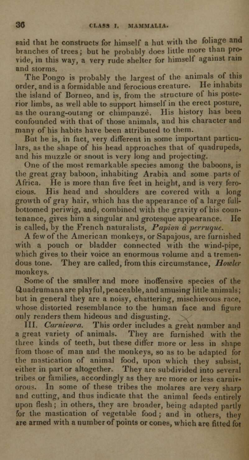 said that he constructs for himself a hut with the foliage and branches of trees; but he probably does little more than pro- vide, in this way, a very rude shelter for himself against ram and storms. The Pongo is probably the largest of the animals of this order, and is a formidable and ferocious creature. He inhabits the island of Borneo, and is, from the structure of his poste- rior limbs, as well able to support himself in the erect posture, as the ourang-outang or chimpanze. His history has been confounded with that of those animals, and his character and many of his habits have been attributed to them. But he is, in fact, very different in some important particu- lars, as the shape of his head approaches that of quadrupeds, and his muzzle or snout is very long and projecting. One of the most remarkable species among the baboons, is the great gray baboon, inhabiting Arabia and some parts of Africa. He is more than five feet in height, and is very fero- cious. His head and shoulders are covered with a long growth of gray hair, which has the appearance of a large full- bottomed periwig, and, combined with the gravity of his coun- tenance, gives him a singular and grotesque appearance. He is called, by the French naturalists, Papion a perruque. A few of the American monkeys, or Sapajous, are furnished with a pouch or bladder connected with the wind-pipe, which gives to their voice an enormous volume and a tremen- dous tone. They are called, from this circumstance, Howler monkeys. Some of the smaller and more inoffensive species of the Q,uadrumana are play ful, peaceable, and amusing little animals; but in general they are a noisy, chattering, mischievous race, whose distorted resemblance to the human face and figure only renders them hideous and disgusting. III. Carnivora. This order includes a great number and a great variety of animals. They are furnished with the three kinds of teeth, but these differ more or less in shape from those of man and the monkeys, so as to be adapted for the mastication of animal food, upon which they subsist, either in part or altogether. They are subdivided into several tribes or families, accordingly as they are more or less carniv- orous. In some of these tribes the molares are very sharp and cutting, and thus indicate that the animal feeds entirely upon flesh; in others, they are broader, being adapted partly for the mastication of vegetable food ; and in others, they are armed with a number of points or cones, which are fitted for