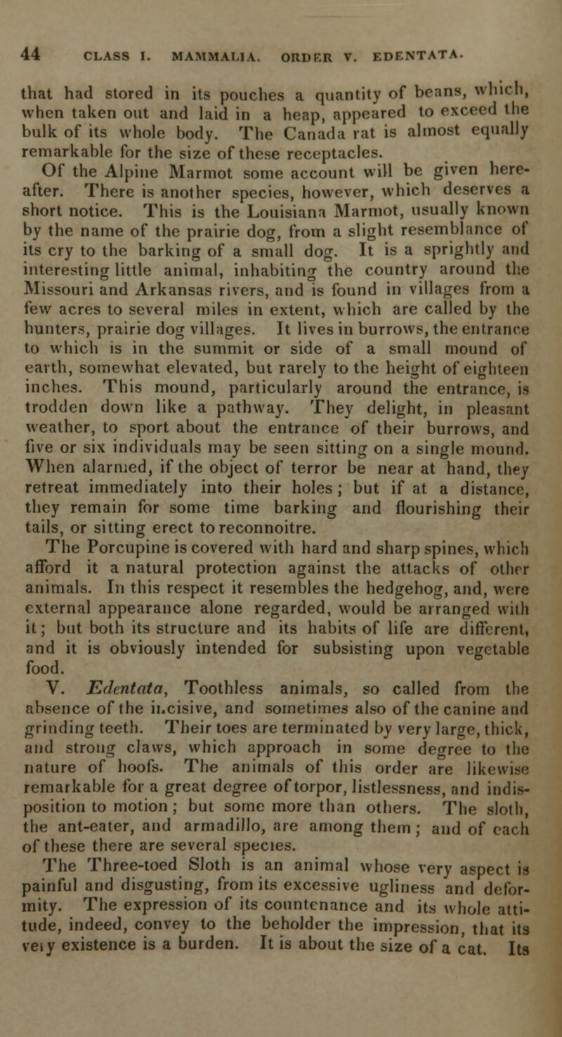 that had stored in its pouches a quantity of beans, which, when taken out and laid in a heap, appeared to exceed the bulk of its whole body. The Canada rat is almost equally remarkable for the size of these receptacles. Of the Alpine Marmot some account will be given here- after. There is another species, however, which deserves a short notice. This is the Louisiana Marmot, usually known by the name of the prairie dog, from a slight resemblance of its cry to the barking of a small dog. It is a sprightly and interesting little animal, inhabiting the country around the Missouri and Arkansas rivers, and is found in villages from a few acres to several miles in extent, which are called by the hunters, prairie dog villages. It lives in burrows, the entrance to which is in the summit or side of a small mound of earth, somewhat elevated, but rarely to the height of eighteen inches. This mound, particularly around the entrance, is trodden down like a pathway. They delight, in pleasant weather, to sport about the entrance of their burrows, and five or six individuals may be seen sitting on a single mound. When alarmed, if the object of terror be near at hand, they retreat immediately into their holes; but if at a distance, they remain for some time barking and flourishing their tails, or sitting erect to reconnoitre. The Porcupine is covered with hard and sharp spines, which afford it a natural protection against the attacks of other animals. In this respect it resembles the hedgehog, and, were external appearance alone regarded, would be arranged with it; but both its structure and its habits of life are different, and it is obviously intended for subsisting upon vegetable food. V. Edentata, Toothless animals, so called from the absence of the incisive, and sometimes also of the canine and grinding teeth. Their toes are terminated by very large, thick, and strong claws, which approach in some degree to the nature of hoofs. The animals of this order are likewise remarkable for a great degree of torpor, listlessness, and indis- position to motion ; but some more than others. The sloth, the ant-eater, and armadillo, are among them; and of each of these there are several species. The Three-toed Sloth is an animal whose very aspect is painful and disgusting, from its excessive ugliness and defor- mity. The expression of its countenance and its whole atti- tude, indeed, convey to the beholder the impression, that its veiy existence is a burden. It is about the size of a cat. Its