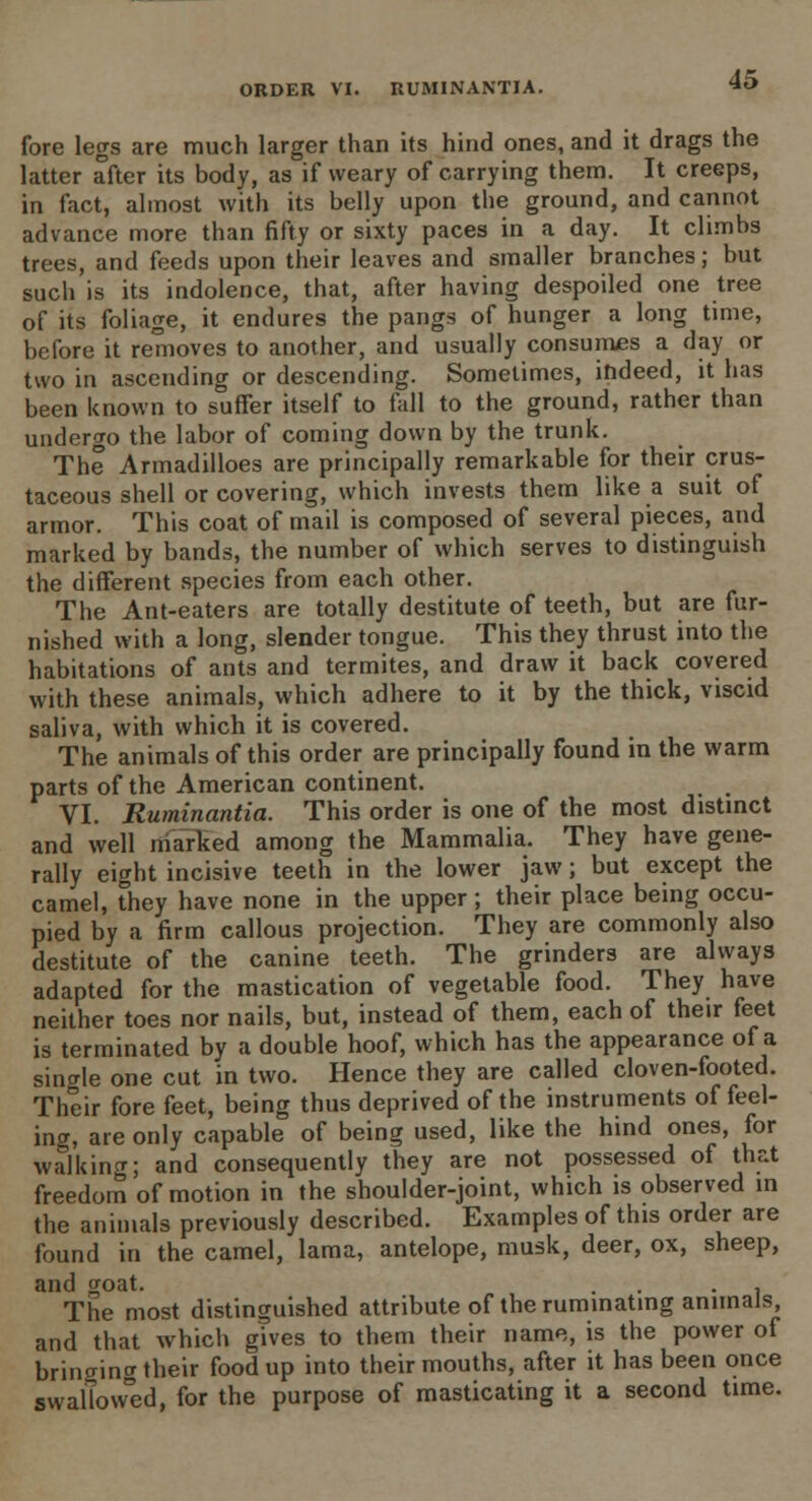 fore legs are much larger than its hind ones, and it drags the latter after its body, as if weary of carrying them. It creeps, in fact, almost with its belly upon the ground, and cannot advance more than fifty or sixty paces in a day. It climbs trees, and feeds upon their leaves and smaller branches; but such is its indolence, that, after having despoiled one tree of its foliage, it endures the pangs of hunger a long time, before it removes to another, and usually consumes a day or two in ascending or descending. Sometimes, indeed, it has been known to suffer itself to fall to the ground, rather than undergo the labor of coming down by the trunk. The Armadilloes are principally remarkable for their crus- taceous shell or covering, which invests them like a suit of armor. This coat of mail is composed of several pieces, and marked by bands, the number of which serves to distinguish the different species from each other. The Ant-eaters are totally destitute of teeth, but are fur- nished with a long, slender tongue. This they thrust into the habitations of ants and termites, and draw it back covered with these animals, which adhere to it by the thick, viscid saliva, with which it is covered. The animals of this order are principally found in the warm parts of the American continent. _ VI. Ruminantia. This order is one of the most distinct and well marked among the Mammalia. They have gene- rally eight incisive teeth in the lower jaw; but except the camel, they have none in the upper; their place being occu- pied by a firm callous projection. They are commonly also destitute of the canine teeth. The grinders are always adapted for the mastication of vegetable food. They have neither toes nor nails, but, instead of them, each of their feet is terminated by a double hoof, which has the appearance of a single one cut in two. Hence they are called cloven-footed. Their fore feet, being thus deprived of the instruments of feel- ing, are only capable of being used, like the hind ones, for walking; and consequently they are not possessed of that freedom of motion in the shoulder-joint, which is observed in the animals previously described. Examples of this order are found in the camel, lama, antelope, musk, deer, ox, sheep, and goat. . , The most distinguished attribute of the ruminating animals and that which gives to them their name, is the power of bringing their food up into their mouths, after it has been once swallowed, for the purpose of masticating it a second time.