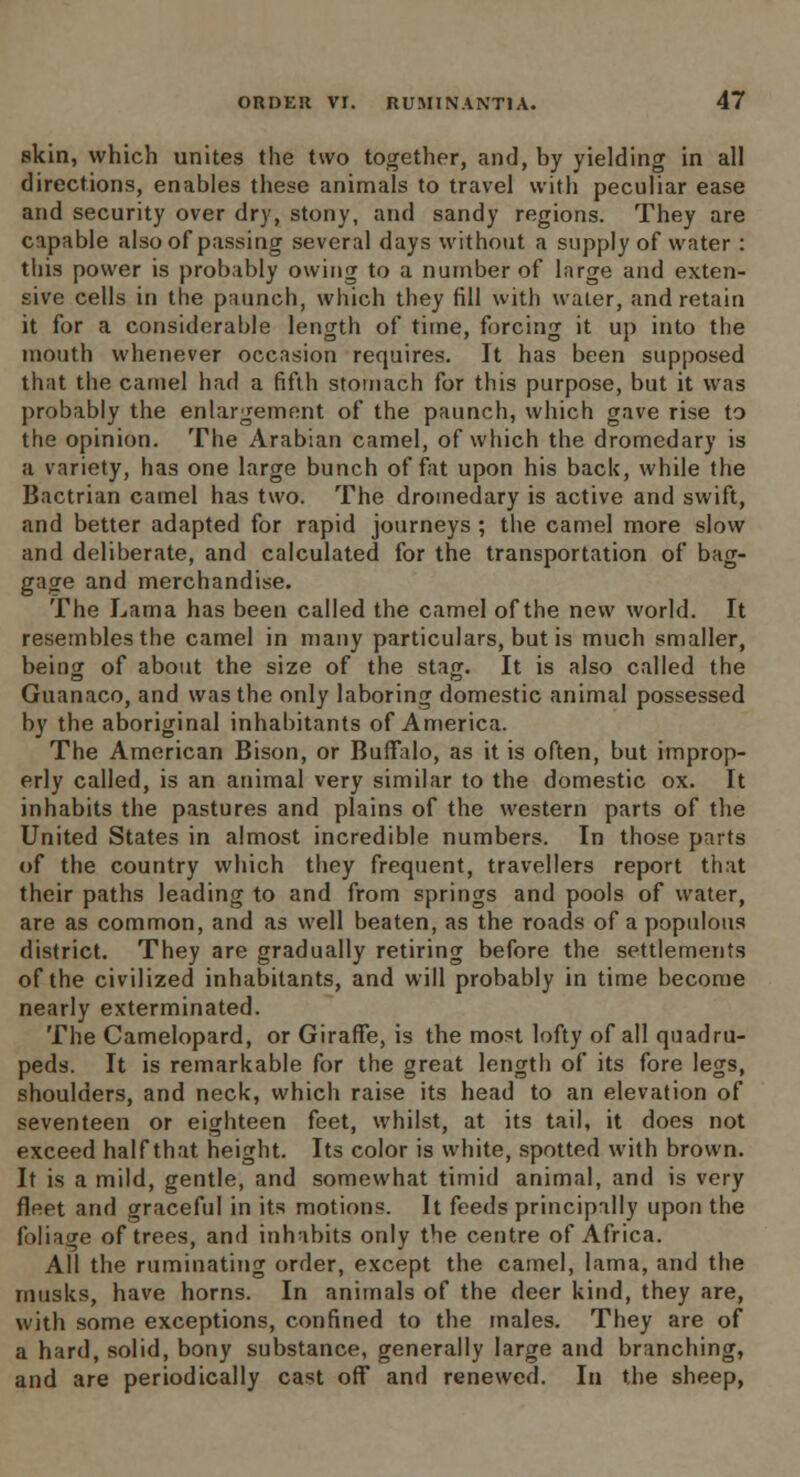 skin, which unites the two together, and, by yielding in all directions, enables these animals to travel with peculiar ease and security over dry, stony, and sandy regions. They are capable also of passing several days without a supply of water : this power is probably owing to a number of large and exten- sive cells in the paunch, which they fill with waler, and retain it for a considerable length of time, forcing it up into the mouth whenever occasion requires. It has been supposed that the camel had a fifth stomach for this purpose, but it was probably the enlargement of the paunch, which gave rise to the opinion. The Arabian camel, of which the dromedary is a variety, has one large bunch of fat upon his back, while the Bactrian camel has two. The dromedary is active and swift, and better adapted for rapid journeys ; the camel more slow and deliberate, and calculated for the transportation of bag- gage and merchandise. The Lama has been called the camel of the new world. It resembles the camel in many particulars, but is much smaller, being of about the size of the stag. It is also called the Guanaco, and was the only laboring domestic animal possessed by the aboriginal inhabitants of America. The American Bison, or Buffalo, as it is often, but improp- erly called, is an animal very similar to the domestic ox. It inhabits the pastures and plains of the western parts of the United States in almost incredible numbers. In those parts of the country which they frequent, travellers report that their paths leading to and from springs and pools of water, are as common, and as well beaten, as the roads of a populous district. They are gradually retiring before the settlements of the civilized inhabitants, and will probably in time become nearly exterminated. The Camelopard, or Giraffe, is the most lofty of all quadru- peds. It is remarkable for the great length of its fore legs, shoulders, and neck, which raise its head to an elevation of seventeen or eighteen feet, whilst, at its tail, it does not exceed half that height. Its color is white, spotted with brown. It is a mild, gentle, and somewhat timid animal, and is very fleet and graceful in its motions. It feeds principally upon the foliage of trees, and inhabits only the centre of Africa. All the ruminating order, except the camel, lama, and the musks, have horns. In animals of the deer kind, they are, with some exceptions, confined to the males. They are of a hard, solid, bony substance, generally large and branching, and are periodically cast off and renewed. In the sheep,