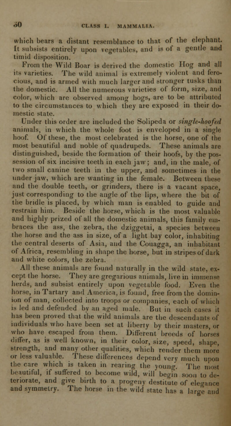 which bears a distant resemblance to that of the elephant. It subsists entirely upon vegetables, and is of a gentle and timid disposition. From the Wild Boar is derived the domestic Hog and all its varieties. The wild animal is extremely violent and fero- cious, and is armed with much larger and stronger tusks than the domestic. All the numerous varieties of form, size, and color, which are observed among hogs, are to be attributed to the circumstances to which they are exposed in their do- mestic state. Under this order are included the Solipeda or single-hoofed animals, in which the whole foot is enveloped in a single hoof. Of these, the most celebrated is the horse, one of the most beautiful and noble of quadrupeds. These animals are distinguished, beside the formation of their hoofs, by the pos- session of six incisive teeth in each jaw; and, in the male, of two small canine teeth in the upper, and sometimes in the under jaw, which are wanting in the female. Between these and the double teeth, or grinders, there is a vacant space, just corresponding to the angle of the lips, where the bit of the bridle is placed, by which man is enabled to guide and restrain him. Beside the horse, which is the most valuable and highly prized of all the domestic animals, this family em- braces the ass, the zebra, the dziggetai, a species between the horse and the ass in size, of a light bay color, inhabiting the central deserts of Asia, and the Couagga, an inhabitant of Africa, resembling in shape the horse, but in stripes of dark and white colors, the zebra. All these animals are found naturally in the wild state, ex- cept the horse. They are gregarious animals, live in immense herds, and subsist entirely upon vegetable food. Even the horse, in Tartary and America, is found, free from the domin- ion of man, collected into troops or companies, each of which is led and defended by an aged male. But in such cases it has been proved that the wild animals are the descendants of individuals who have been set at liberty by their masters, or who have escaped from them. Different breeds of horses differ, as is well known, in their color, size, speed, shape, strength, and many other qualities, which render them more or less valuable. These differences depend very much upon the care which is taken in rearing the young. The most beautiful, if suffered to become wild, will begin soon to de- teriorate, and give birth to a progeny destitute of elegance and symmetry. The horse in the wild state has a large and