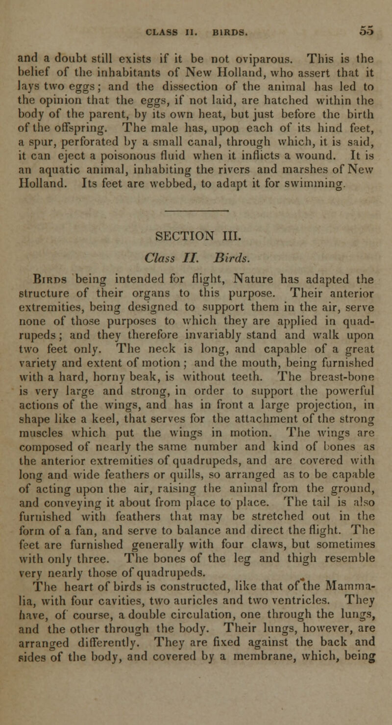 and a doubt still exists if it be not oviparous. This is the belief of the inhabitants of New Holland, who assert that it lays two eggs; and the dissection of the animal has led to the opinion that the eggs, if not laid, are hatched within the body of the parent, by its own heat, but just before the birth of the offspring. The male has, upon each of its hind feet, a spur, perforated by a small canal, through which, it is said, it can eject a poisonous fluid when it inflicts a wound. It is an aquatic animal, inhabiting the rivers and marshes of New Holland. Its feet are webbed, to adapt it for swimming. SECTION III. Class II. Birds. Birds being intended for flight, Nature has adapted the structure of their organs to this purpose. Their anterior extremities, being designed to support them in the air, serve none of those purposes to which they are applied in quad- rupeds ; and they therefore invariably stand and walk upon two feet only. The neck is long, and capable of a great variety and extent of motion ; and the mouth, being furnished with a hard, horny beak, is without teeth. The breast-bone is very large and strong, in order to support the powerful actions of the wings, and has in front a large projection, in shape like a keel, that serves for the attachment of the strong muscles which put the wings in motion. The wings are composed of nearly the same number and kind of bones as the anterior extremities of quadrupeds, and are covered with long and wide feathers or quills, so arranged as to be capable of acting upon the air, raising the animal from the ground, and conveying it about from place to place. The tail is also furnished with feathers that may be stretched out in the form of a fan, and serve to balance and direct the flight. The feet are furnished generally with four claws, but sometimes with only three. The bones of the leg and thigh resemble very nearly those of quadrupeds. The heart of birds is constructed, like that of the Mamma- lia, with four cavities, two auricles and two ventricles. They have, of course, a double circulation, one through the lungs, and the other through the body. Their lungs, however, are arranged differently. They are fixed against the back and sides of the body, and covered by a membrane, which, being