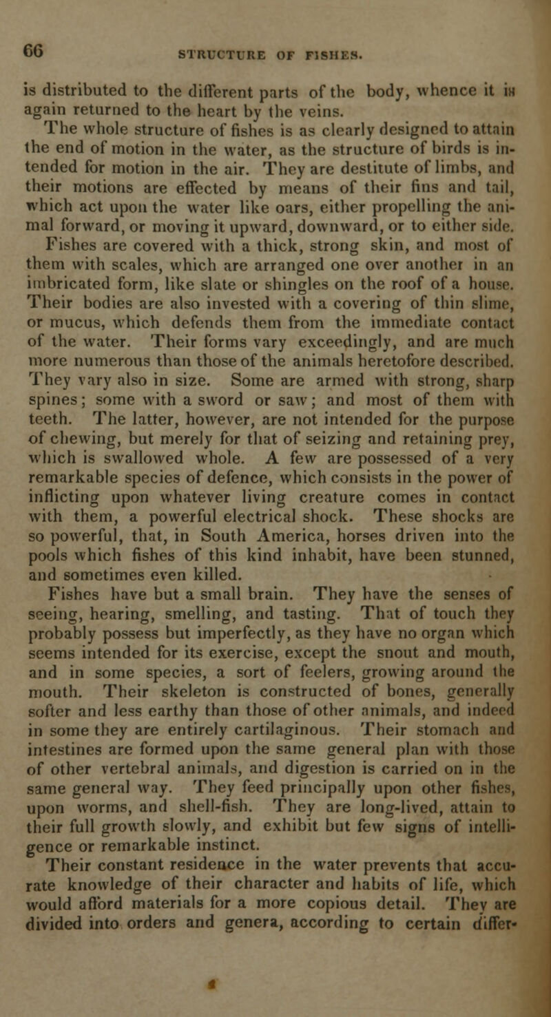 is distributed to the different parts of the body, whence it in again returned to the heart by the veins. The whole structure of fishes is as clearly designed to attain the end of motion in the water, as the structure of birds is in- tended for motion in the air. They are destitute of limbs, and their motions are effected by means of their fins and tail, which act upon the water like oars, either propelling the ani- mal forward, or moving it upward, downward, or to either side. Fishes are covered with a thick, strong skin, and most of them with scales, which are arranged one over another in an imbricated form, like slate or shingles on the roof of a house. Their bodies are also invested with a covering of thin slime, or mucus, which defends them from the immediate contact of the water. Their forms vary exceedingly, and are much more numerous than those of the animals heretofore described. They vary also in size. Some are armed with strong, sharp spines; some with a sword or saw; and most of them with teeth. The latter, however, are not intended for the purpose of chewing, but merely for that of seizing and retaining prey, which is swallowed whole. A few are possessed of a very remarkable species of defence, which consists in the power of inflicting upon whatever living creature comes in contact with them, a powerful electrical shock. These shocks are so powerful, that, in South America, horses driven into the pools which fishes of this kind inhabit, have been stunned, and sometimes even killed. Fishes have but a small brain. They have the senses of seeing, hearing, smelling, and tasting. That of touch they probably possess but imperfectly, as they have no organ which seems intended for its exercise, except the snout and mouth, and in some species, a sort of feelers, growing around the mouth. Their skeleton is constructed of bones, generally softer and less earthy than those of other animals, and indeed in some they are entirely cartilaginous. Their stomach and intestines are formed upon the same general plan with those of other vertebral animals, and digestion is carried on in the same general way. They feed principally upon other fishes, upon worms, and shell-fish. They are long-lived, attain to their full growth slowly, and exhibit but few signs of intelli- gence or remarkable instinct. Their constant residence in the water prevents that accu- rate knowledge of their character and habits of life, which would afford materials for a more copious detail. They are divided into orders and genera, according to certain differ-