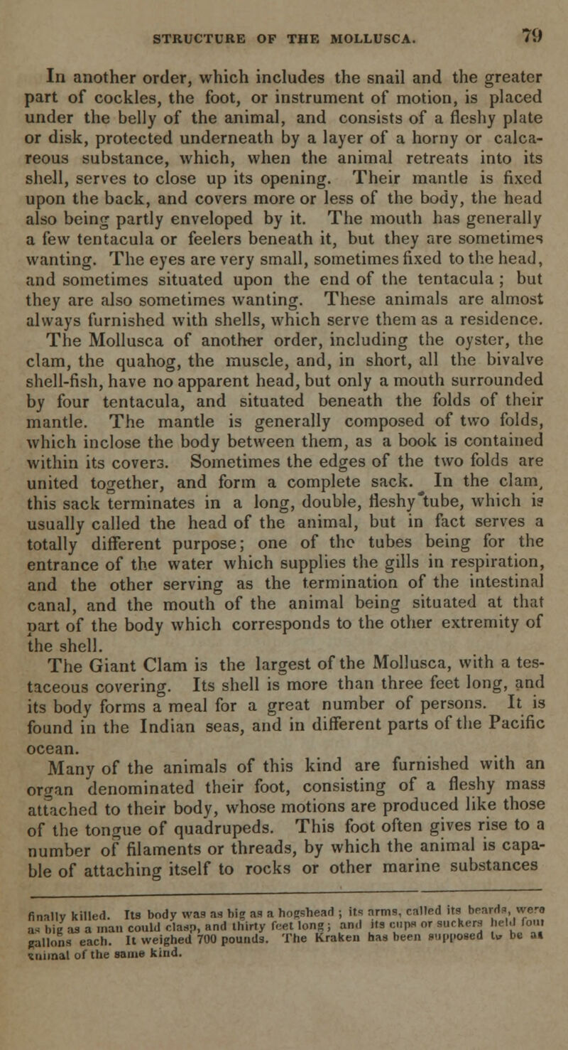 In another order, which includes the snail and the greater part of cockles, the foot, or instrument of motion, is placed under the belly of the animal, and consists of a fleshy plate or disk, protected underneath by a layer of a horny or calca- reous substance, which, when the animal retreats into its shell, serves to close up its opening. Their mantle is fixed upon the back, and covers more or less of the body, the head also being partly enveloped by it. The mouth has generally a few tentacula or feelers beneath it, but they are sometimes wanting. The eyes are very small, sometimes fixed to the head, and sometimes situated upon the end of the tentacula; but they are also sometimes wanting. These animals are almost always furnished with shells, which serve them as a residence. The Mollusca of another order, including the oyster, the clam, the quahog, the muscle, and, in short, all the bivalve shell-fish, have no apparent head, but only a mouth surrounded by four tentacula, and situated beneath the folds of their mantle. The mantle is generally composed of two folds, which inclose the body between them, as a book is contained within its covers. Sometimes the edges of the two folds are united together, and form a complete sack. In the clam, this sack terminates in a long, double, fleshy'tube, which is usually called the head of the animal, but in fact serves a totally different purpose; one of the tubes being for the entrance of the water which supplies the gills in respiration, and the other serving as the termination of the intestinal canal, and the mouth of the animal being situated at that part of the body which corresponds to the other extremity of the shell. The Giant Clam is the largest of the Mollusca, with a tes- taceous covering. Its shell is more than three feet long, and its body forms a meal for a great number of persons. It is found in the Indian seas, and in different parts of the Pacific ocean. Many of the animals of this kind are furnished with an organ denominated their foot, consisting of a fleshy mass attached to their body, whose motions are produced like those of the tongue of quadrupeds. This foot often gives rise to a number of filaments or threads, by which the animal is capa- ble of attaching itself to rocks or other marine substances finally killed. Its body was as bis as a hogshead ; its arms, called its beards, wero a< hie as a man could clasp, and thirty feet lone; and its cups or suckers held font gallons each. It weighed 700 pounds. The Krakeu has been supposed U, be at animal of the same kind.