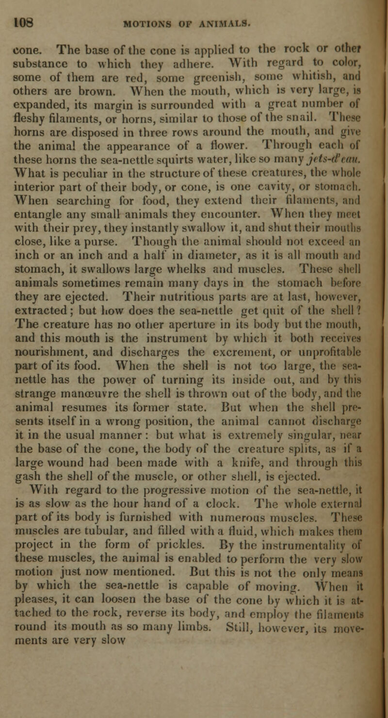 cone. The base of the cone is applied to the rock or other substance to which they adhere. With regard to color, some of them are red, some greenish, some whitish, and others are brown. When the mouth, which is very large, is expanded, its margin is surrounded with a great number of fleshy filaments, or horns, similar to those of the snail. These horns are disposed in three rows around the mouth, and grw the animal the appearance of a flower. Through each of these horns the sea-nettle squirts water, like so many jcts-d'vmi. What is peculiar in the structure of these creatures, the whole interior part of their body, or cone, is one cavity, or stomach. When searching for food, they extend their filaments, and entangle any small animals they encounter. When they meet with their prey, they instantly swallow it, and shut their mouths close, like a purse. Though the animal should not exceed an inch or an inch and a half in diameter, as it is all mouth and stomach, it swallows large whelks and muscles. These Bhell animals sometimes remain many days in the stomach before they are ejected. Their nutritious parts are at last, however, extracted ; but how does the sea-nettle get quit of the shellI The creature has no other aperture in its body but the mouth, and this mouth is the instrument by which it both receives nourishment, and discharges the excrement, or unprofitable part of its food. When the shell is not too large, the sea- nettle has the power of turning its inside out, and by this strange manoeuvre the shell is thrown out of the body, and the animal resumes its former state. But when the shell pre- sents itself in a wrong position, the animal cannot discharge it in the usual manner : but what is extremely singular, near the base of the cone, the body of the creature splits, as if a large wound had been made with a knife, and through this gash the shell of the muscle, or other shell, is ejected. With regard to the progressive motion of the sea-nettle, it is as slow as the hour hand of a clock. The whole external part of its body is furnished with numerous muscles. These muscles are tubular, and filled with a fluid, which makes them project in the form of prickles. By the instrumentality of these muscles, the animal is enabled to perform the very slow motion just now mentioned. But this is not the only means by which the sea-nettle is capable of moving. When it pleases, it can loosen the base of the cone by which it is at- tached to the rock, reverse its body, and employ the filaments round its mouth as so many limbs. Still, however, its move- ments are very slow
