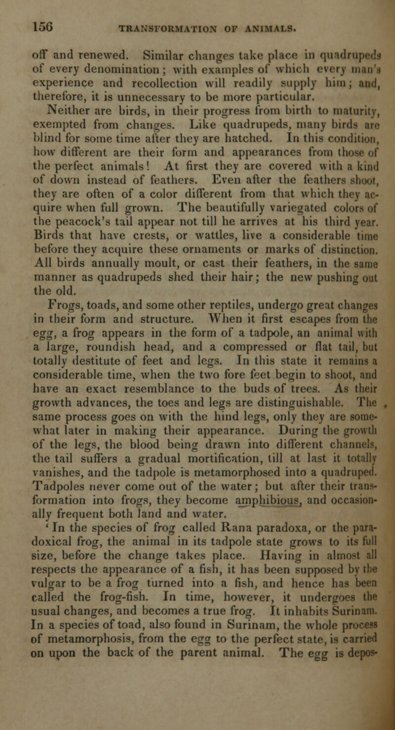 off and renewed. Similar changes take place in quadrupeds of every denomination; with examples of which every man's experience and recollection will readily supply him; and, therefore, it is unnecessary to be more particular. Neither are birds, in their progress from birth to maturity, exempted from changes. Like quadrupeds, many birds are blind for some time after they are hatched. In this condition, how different are their form and appearances from those of the perfect animals! At first they are covered with a kind of down instead of feathers. Even after the feathers shoot, they are often of a color different from that which they ac- quire when full grown. The beautifully variegated colors of the peacock's tail appear not till he arrives at his third year. Birds that have crests, or wattles, live a considerable time before they acquire these ornaments or marks of distinction. All birds annually moult, or cast their feathers, in the same manner as quadrupeds shed their hair; the new pushing out the old. Frogs, toads, and some other reptiles, undergo great changes in their form and structure. When it first escapes from the egg, a frog appears in the form of a tadpole, an animal with a large, roundish head, and a compressed or flat tail, but totally destitute of feet and legs. In this state it remains a considerable time, when the two fore feet begin to shoot, and have an exact resemblance to the buds of trees. As their growth advances, the toes and legs are distinguishable. The , same process goes on with the hind legs, only they are some- what later in making their appearance. During the growtli of the legs, the blood being drawn into different channels, the tail suffers a gradual mortification, till at last it totally vanishes, and the tadpole is metamorphosed into a quadruped. Tadpoles never come out of the water; but after their trans- formation into frogs, they become amphibious, and occasion- ally frequent both land and water. ' In the species of frog called Rana paradoxa, or the para- doxical frog, the animal in its tadpole state grows to its full size, before the change takes place. Having in almost all respects the appearance of a fish, it has been supposed by the vulgar to be a frog turned into a fish, and hence has been called the frog-fish. In time, however, it undergoes the usual changes, and becomes a true frog. It inhabits Surinam. In a species of toad, also found in Surinam, the whole process of metamorphosis, from the egg to the perfect state, is carried on upon the back of the parent animal. The egg is depos-