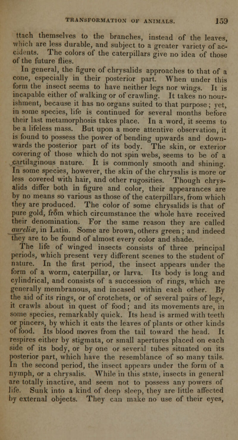 ttach themselves to the branches, instead of the leaves, which are less durable, and subject to a greater variety of ac- cidents. The colors of the caterpillars give no idea of those of the future flies. In general, the figure of chrysalids approaches to that of a cone, especially in their posterior part. When under this form the insect seems to have neither legs nor wings. It is incapable either of walking or of crawling. It takes no nour- ishment, because it has no organs suited to that purpose; yet, in some species, life is continued for several months before their last metamorphosis takes place. In a word, it seems to be a lifeless mass. But upon a more attentive observation, it is found to possess the power of bending upwards and down- wards the posterior part of its body. The skin, or exterior covering of those which do not spin webs, seems to be of a cartilaginous nature. It is commonly smooth and shining. In some species, however, the skin of the chrysalis is more or less covered with hair, and other rugosities. Though chrys- alids differ both in figure and color, their appearances are by no means so various as those of the caterpillars, from which they are produced. The color of some chrysalids is that of pure gold, fr6m which circumstance the whole have received their denomination. For the same reason they are called mtrelicE, in Latin. Some are brown, others green ; and indeed ~they are to be found of almost every color and shade. The life of winged insects consists of three principal periods, which present very different scenes to the student of nature. In the first period, the insect appears under the form of a worm, caterpillar, or larva. Its body is long and cylindrical, and consists of a succession of rings, which are generally membranous, and incased within each other. By the aid of its rings, or of crotchets, or of several pairs of legs, it crawls about in quest of food; and its movements are, in some species, remarkably quick. Its head is armed with teeth or pincers, by which it eats the leaves of plants or other kinds of food. Its blood moves from the tail toward the head. It respires either by stigmata, or small apertures placed on each side of its body, or by one or several tubes situated on its posterior part, which have the resemblance of so many tails. In the second period, the insect appears under the form of a nymph, or a chrysalis. While in this state, insects in general are totally inactive, and seem not to possess any powers of life. Sunk into a kind of deep sleep, they are little affected by external objects. They can make no use of their eyes,