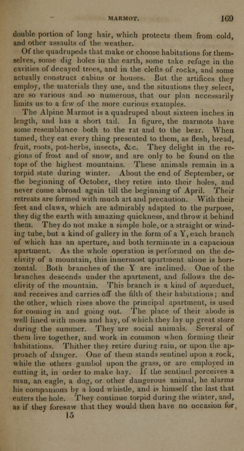 MARMOT. 1G9 double portion of long hair, which protects them from cold, and other assaults of the weather. Of the quadrupeds that make or choose habitations for them- selves, some dig holes in the earth, some take refuo-e in the cavities of decayed trees, and in the clefts of rocks, and some actually construct cabins or houses. But the artifices they employ, the materials they use, and the situations they select, are so various and so numerous, that our plan necessarily limits us to a few of the more curious examples. The Alpine Marmot is a quadruped about sixteen inches in length, and has a short tail. In figure, the marmots have some resemblance both to the rat and to the bear. When tamed, they eat every thing presented to them, as flesh, bread, fruit, roots, pot-herbs, insects, &c. They delight in the re- gions of frost and of snow, and are only to be found on the tops of the highest mountains. These animals remain in a torpid state during winter. About the end of September, or the beginning of October, they retire into their holes, and never come abroad again till the beginning of April. Their retreats are formed with much art and precaution. With their feet and claws, which are admirably adapted to the purpose, they dig the earth with amazing quickness, and throw it behind them. They do not make a simple hole, or a straight or wind- ing tube, but a kind of gallery in the form of a Y, each branch of which has an aperture, and both terminate in a capacious apartment. As the whole operation is performed on the de- clivity of a mountain, this innermost apartment alone is hori- zontal. Both branches of the Y are inclined. One of the branches descends under the apartment, and follows the de- clivity of the mountain. This branch is a kind of aqueduct, and receives and carries off the filth of their habitations; and the other, which rises above the principal apartment, is used for coming in and going out. The place of their abode is well lined with moss and hay, of which they lay up great store during the summer. They are social animals. Several of them live together, and work in common when forming their habitations. Thither they retire during rain, or upon the ap- proach of danger. One of them stands sentinel upon a rock, while the others gambol upon the grass, or are employed in cutting it, in order to make hay. If the sentinel perceives a man, an eagle, a dog, or other dangerous animal, he alarms his companions by a loud whistle, and is himself the last that enters the hole. They continue torpid during the winter, and, as if they foresaw that they would then have no occasion for 15