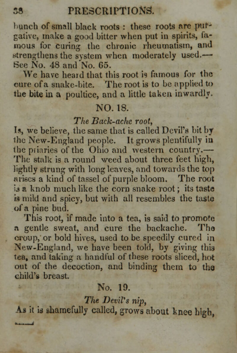 hunch of small black roots : these roots nre pur- gative, make a good bitter when put in spirits, fa- mous for curing the chronic rheumatism, and strengthens the system when moderately used.— Bee No. 48 and No. G5. We have heaid that this root is famou9 for the cure of a snake-bite. The root is to be applied to the bite in a poultice, and a little taken inwardly. NO. 18. The Back-ache root, I*, we believe, the same that is called Devil's bit by the New-England people. It grows plentifully iu the priaries of the Ohio and western country.— The stalk is a round weed about three feet high, lightly strung with long leaves, and towards the top arises a kind of tassel of purple bloom. The root id a knob much like the corn snake root; its taste is mild and spicy, but with all resembles the taste of a pine bud. This root, if made into a tea, is said to promote a gentle sweat, and cure the backache. The croup, or bold hives, used to be speedily cured in New-England, we have been told, by giving this tea, and taking a handful of these roots sliced, hot out of the decoction, and binding them to the child's breast. No. 19. The Devil's nip, As it is shamefully called, grows about knee high,