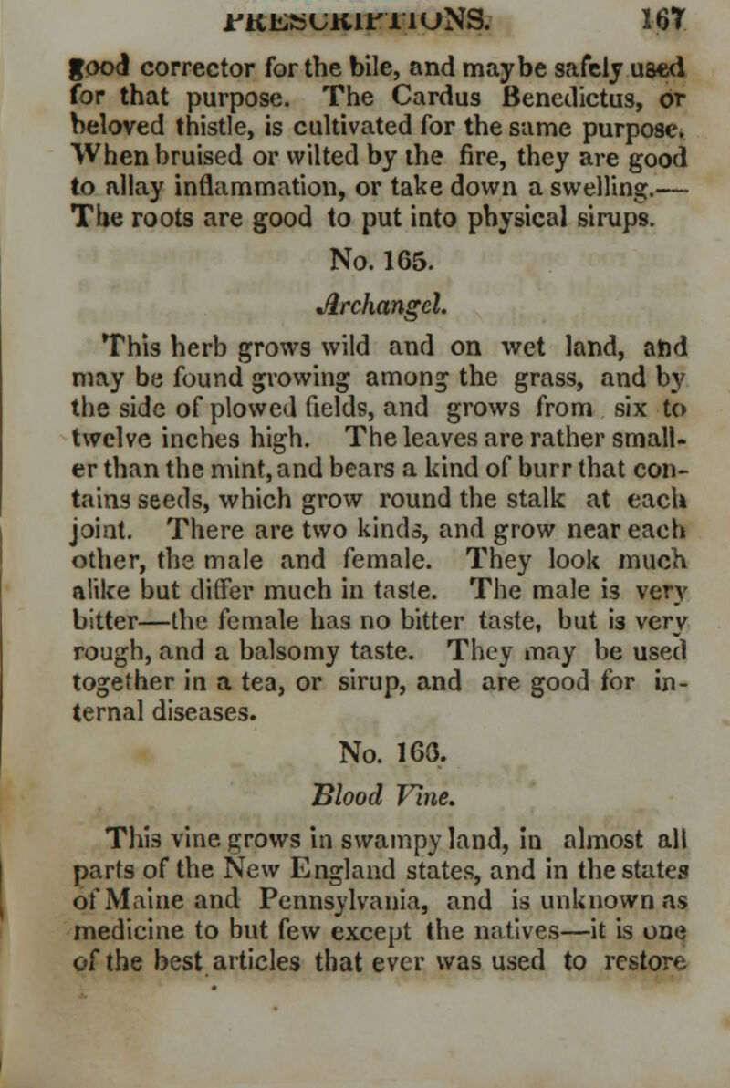 good corrector for the bile, and maybe safely used for that purpose. The Cardus Benedictus, or beloved thistle, is cultivated for the same purpose, When bruised or wilted by the fire, they are good to allay inflammation, or take down a swelling.— The roots are good to put into physical sirups. No. 165. Archangel. This herb grows wild and on wet land, and may be found growing among the grass, and by the side of plowed fields, and grows from six to twelve inches high. The leaves are rather small- er than the mint, and bears a kind of burr that con- tains seeds, which grow round the stalk at each joint. There are two kinds, and grow near each other, the male and female. They look much alike but differ much in tnste. The male is very bitter—the female has no bitter taste, but is very rough, and a balsomy taste. They may be used together in a tea, or sirup, and are good for in- ternal diseases. No. 163. Blood Vine. This vine grows in swampy land, in almost all parts of the New England states, and in the states of Maine and Pennsylvania, and is unknown as medicine to but few except the natives—it is one of the best articles that ever was used to restore