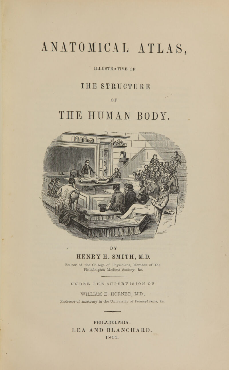 ANATOMICAL ATLAS, ILLUSTRATIVE OF THE STRUCTURE OF THE HUMAN BODY. BY HENRY H. SMITH, M.D. Fellow of the College of Physicians, Member of the Philadelphia Medical Society, &c. UNDER THE SUPERVISION OF WILLIAM E. HORNER, M.D., Professor of Anatomy in the University of Pennsylvania, &c. PHILADELPHIA: LEA AND BLANCHARD, 1844.