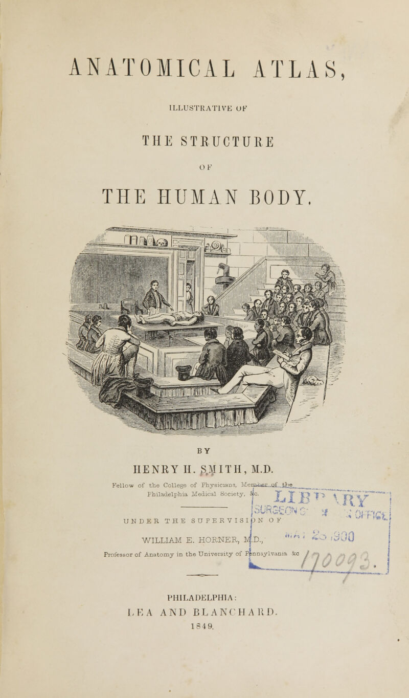ANATOMICAL ATLAS, ILLUSTRATIVE UK THE STRUCTURE OF THE HUMAN BODY. BY HENRY H. 3.MITH, M.D. Fellow of the College of Physicians, Meroiiex..af. .ihe_ Philadelphia Medical Society, Stc UNDER THE SUPERVISION OF WM WILLIAM E. HORNER, Mp., Professor of Anatomy in the University of Pennsylvania Sec PHILADELPHIA: LEA AND BLANCH A RD, 1349. [JPC . \