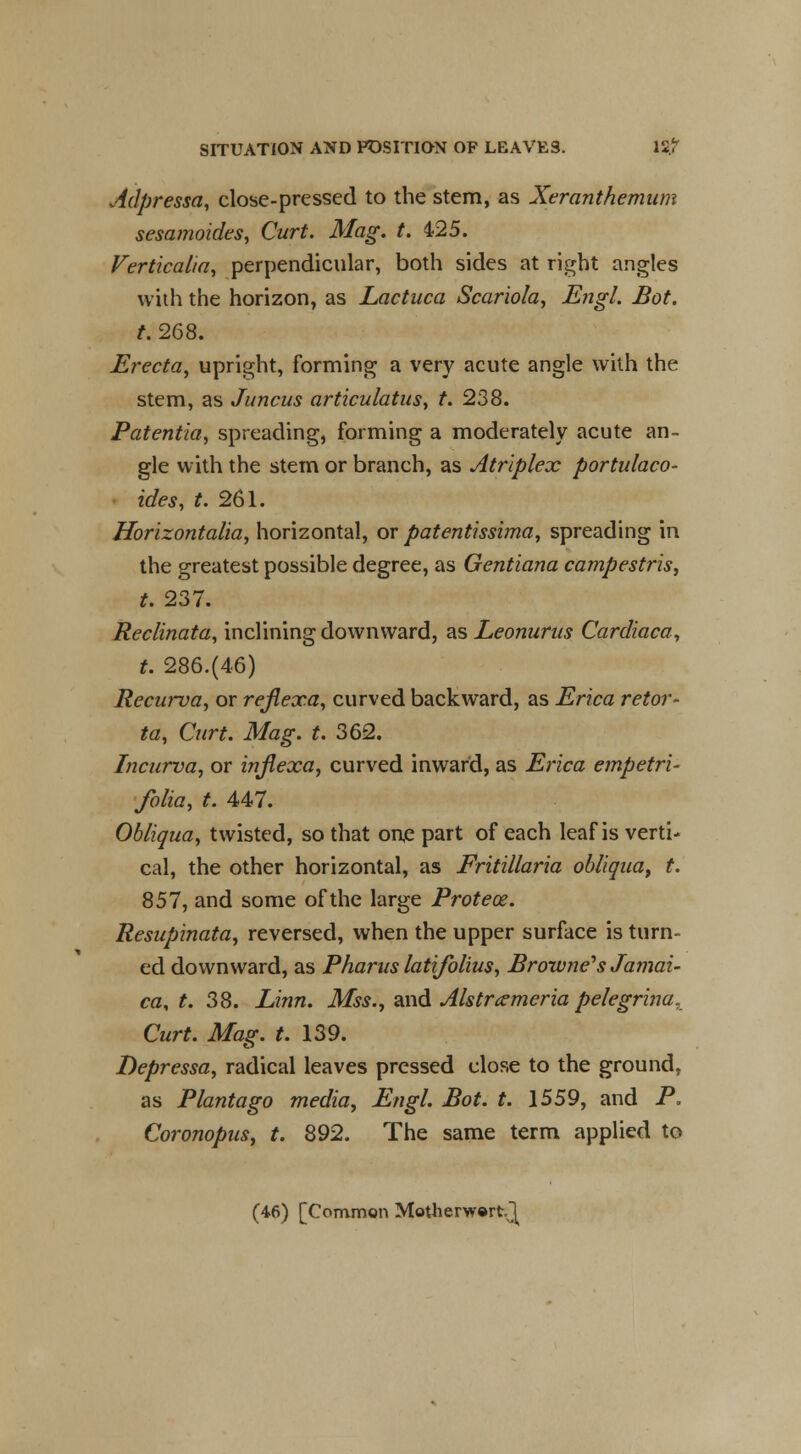 Adpressa, close-pressed to the stem, as Xeranthemum sesamoides, Curt. Mag. t. 425. Verticalia, perpendicular, both sides at right angles with the horizon, as Lactuca Scariola, Engl. Bot. t. 268. Erecta, upright, forming a very acute angle with the stem, as Juncus articulatus, t. 238. Patentia, spreading, forming a moderately acute an- gle with the stem or branch, as Atriplex portulaco- ides, t. 261. Horizontalia, horizontal, or patentissima, spreading in the greatest possible degree, as Gentiana campestris, t. 237. Reclinata, inclining downward, as Leonurus Cardiaca, t. 286.(46) Recurva, or rejlexa, curved backward, as Erica retor* ta, Curt. Mag. t. 362. Incurva, or injlexa, curved inward, as Erica empetri- folia, t. 447. OMiquay twisted, so that one part of each leaf is verti- cal, the other horizontal, as Fritillaria obliqiiat t. 857, and some of the large Protece. Resupinata, reversed, when the upper surface is turn- ed downward, as Pharus latifolius, Browne''s Jamai- ca, t. 38. Linn. Mss., and Alstrcemeria pelegrina. Curt. Mag. t. 139. Depressa, radical leaves pressed close to the ground, as Plantago media, Engl. Bot. t. 1559, and P. Coronopus, t. 892. The same term applied to