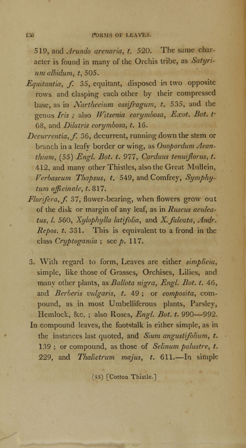 1^ F*ORMS OF LKAVES. 519, and Arundo arenaria, t. 520. The same char- acter is found in many of the Orchis tribe, as Satyri- um albidum, t, 505. Equitantia, f. 35, equitant, disposed in two opposite rows and clasping each other by their compressed base, as in Narthecium ossi/ragmn, t. 535, and the genus Iris ; also Witsenia corymbosa, Exot. Bot. t- 68, and Dilatris corymbosa, t. 16. Dccurrentia,f. 36, decurrent, running down the stem or branch in a leafy border or wing, as Onopordum Acan- thium, (55) Engl. Bot. t. 977, Carduus tenuijlorus, t. 412, and many other Thistles, also the Great Mullein, Verbascum T/iapsus, t. 549, and Comfrey, Symphy- tum officinale, t. 817. Florifera, f. 37, flower-bearing, when flowers grow out of the dibk or margin of any leaf, as in Ruscus aculea- tus, I. 560, Xylophylla latifolia, and X.Jalcata, Andr. Repos. t. 331. This is equivalent to a frond in the class Cryptogamia ; see jfr. 117. 3. With regard to form, Leaves are either simplicia> simple, like those of Grasses, Orchises, Lilies, and many other plants, as Ballota nigra, Engl. Bot. t. 46, and Berberis vulgaris, t. 49 ; or composita, com- pound, as in most Umbelliferous plants, Parsley, Hemlock, &c. ; also Roses, Engl. Bot. t. 990—992. In compound leaves, the footstalk is either simple, as in the instances last quoted, and Sium angustijblium, t. 139 ; or compound, as those of Selinum palustre, t. 229, and Thalictrum majus> t. 611.—In simple (55) [Cotton Thistle.]