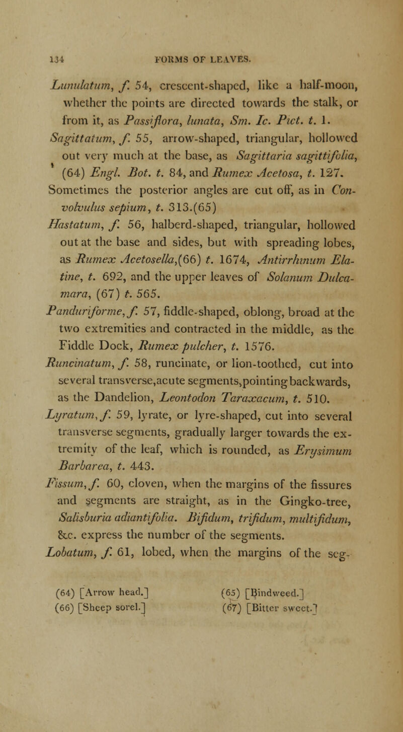 Lumdatum, f. 54, crescent-shaped, like a half-moon, whether the points are directed towards the stalk, or from it, as Passijiora, lunata, Sm. Ic. Pict. t. 1. Sagittaium, f. 55, arrow-shaped, triangular, hollowed out very much at the base, as Sagittaria sagittifolia, (64) Engl. Bot. t. 84, and Rumex Acetosa, t. 127. Sometimes the posterior angles are cut off, as in Con- volvulus sepium, t. 313.(65) Hastatum, f. 56, halberd-shaped, triangular, hollowed out at the base and sides, but with spreading lobes, as Rumex Acetosella,(66) t. 1674, Antirrhinum Ela- tine, t. 692, and the upper leaves of Solanum Dulca- mara, (67) t. 565. Panduriforme,/. 57, fiddle-shaped, oblong, broad at the two extremities and contracted in the middle, as the Fiddle Dock, Rumex pulcher, t. 1576. Runcinatum, f. 58, runcinate, or lion-toothed, cut into several transverse,acute segments,pointingbackwards, as the Dandelion, Leontodon Taraxacum, t. 510. Lyratum,/. 59, lyrate, or lyre-shaped, cut into several transverse segments, gradually larger towards the ex- tremity of the leaf, which is rounded, as Erysimum Barbarea, t. 443. Fissum,/. 60, cloven, when the margins of the fissures and segments are straight, as in the Gingko-tree, Salisburia adiantifolia. Bijidum, trifidum, multijidum, &x. express the number of the segments. Lobatum, f. 61, lobed, when the margins of the seg- (64) [Arrow head.] (65) [Bindweed.] (66) [Sheep sorely (67) [Bitter swcct-1