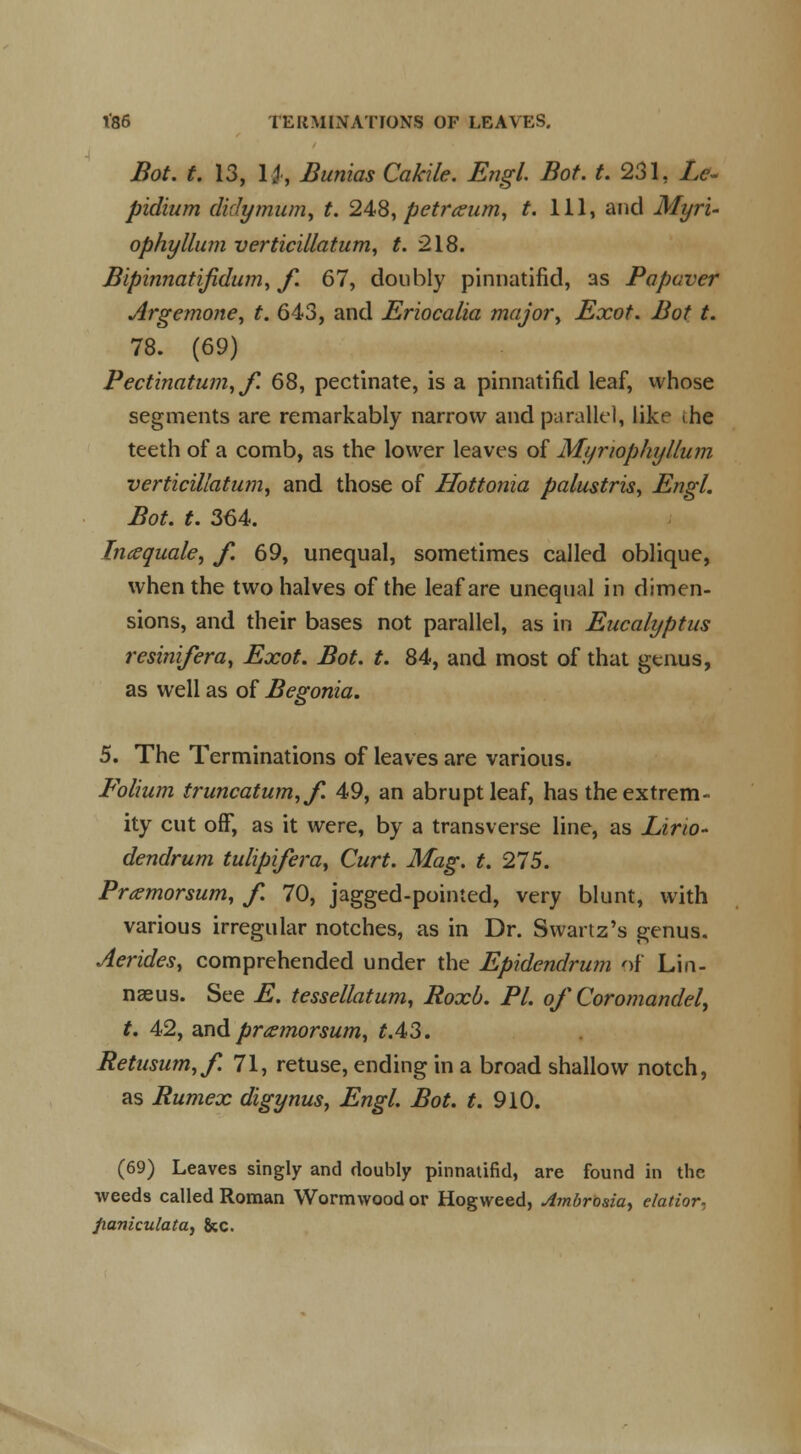 t'86 TERMINATIONS OF LEAVES. Bot. t. 13, U, Bunias Cakile. Engl. Bot. t. 231, Le- pidium didymum, t. 248, petr^um, t. Ill, and Myri- ophyllum verticillatum, t. 218. Bipinnatifidum, f. 67, doubly pinnatifid, as Papaver Argemone, t. 643, and Eriocalia major\ Exot. Bot t. 78. (69) Pectinatum, f. 68, pectinate, is a pinnatifid leaf, whose segments are remarkably narrow and parallel, like the teeth of a comb, as the lower leaves of Myriophijllum verticillatum, and those of Hottonia palustris, Engl. Bot. t. 364. Iticequale, f. 69, unequal, sometimes called oblique, when the two halves of the leaf are unequal in dimen- sions, and their bases not parallel, as in Eucalyptus resinifera, Exot. Bot. t. 84, and most of that genus, as well as of Begonia. 5. The Terminations of leaves are various. Eolium truncatum,/. 49, an abrupt leaf, has the extrem- ity cut off, as it were, by a transverse line, as Lirio- dendrum tulipifera, Curt. Mag. t. 275. Prxmorsum, f. 70, jagged-pointed, very blunt, with various irregular notches, as in Dr. Swartz's genus. Aerides, comprehended under the Epidendrum of Lin- naeus. See E. tessellatum, Roxb. PI. of Coromandel, t. 42, and prxmorsum, t.4,3. Retusum,/. 71, retuse, ending in a broad shallow notch, as Rumex digynus, Engl. Bot. t. 910. (69) Leaves singly and doubly pinnatifid, are found in the weeds called Roman Wormwood or Hogweed, Ambrosia, elatior. fianiculata, &c.