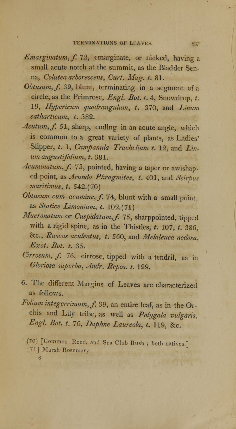 Emarginatum, f. 72, emarginate, or nicked, having a small acute notch at the summit, as the Bladder Sen- na, Colutea arbor-escens, Curt. Mag. £. 81. Obtusum,/. 39, blunt, terminating in a segment of a circle, as the Primrose, Engl. Bot. t. 4, Snowdrop, t. 19, Hypericum quadrangulum, t. 370, and Linum catharticum, t. 382. Acutum,/. 51, sharp, ending in an acute angle, which is common to a great variety of plants, as Ladies' Slipper, t. 1, Campanula Trachelium t. 12, and Lin- um angustifolium, t. 381. Acuminatum,/. 73, pointed, having a taper or awishap- ed point, as Arundo Phragmites, t. 401, and Scirpus maritimus, t. 542.(70) Obtusum cum acumine,/. 74, blunt with a small point, as Statice Limonium, t. 102.(71) Mucronatum or Cuspidatum,/. 75, sharppointed, tipped with a rigid spine, as in the Thistles, t. 107, #.386, &c, Ruscus aculeatus, t. 560, and Melaleuca nodosa, Exot. Bot. t. 35. Cirrosum, f. 76, cirrose, tipped with a tendril, as in Gloriosa superba, Andr. Repos. t. 129. 6. The different Margins of Leaves are characterized as follows. Folium integerrimum,/. 39, an entire leaf, as in the Or- chis and Lily tribe, as well as Polygala vulgaris, Engl. Bot. t. 76, Daphne Laureola, t. 119, &c. (70) [Common Reed, and Sea Club Rush ; both natives.] [71] Marsh Rosemavy. S