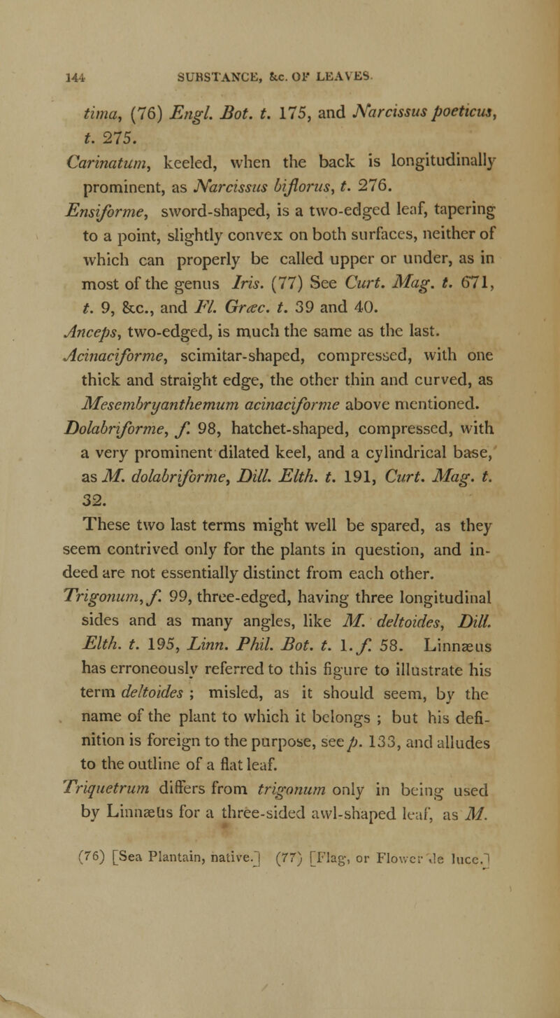 tima, (76) Engl. Bot. t. 175, and Narcissus poettcus, t. 275. Carinatum, keeled, when the back is longitudinally prominent, as Narcissus bijlorus, t. 276. Ensiforme, sword-shaped, is a two-edged leaf, tapering to a point, slightly convex on both surfaces, neither of which can properly be called upper or under, as in most of the genus Iris. (77) See Curt. Mag. t. 671, t. 9, &c, and Fl. Grcec. f. 39 and 40. Anceps, two-edged, is much the same as the last. Acinaciforme, scimitar-shaped, compressed, with one thick and straight edge, the other thin and curved, as Mesembryanthemum acinaciforme above mentioned. Dolabriforme, f. 98, hatchet-shaped, compressed, with a very prominent dilated keel, and a cylindrical base, as M. dolabriforme, Dill. Elth. t. 191, Curt. Mag. t. 32. These two last terms might well be spared, as they seem contrived only for the plants in question, and in- deed are not essentially distinct from each other. Trigonumyf. 99, three-edged, having three longitudinal sides and as many angles, like M. deltoides, Dill. Elth. t. 195, Linn. Phil. Bot. t. \.f. 58. Linnaeus has erroneously referred to this figure to illustrate his term deltoides ; misled, as it should seem, by the name of the plant to which it belongs ; but his defi- nition is foreign to the purpose, see/;. 133, and alludes to the outline of a flat leaf. Triquetrum differs from trigonum only in being used by Linnaeus for a three-sided awl-shaped leaf, as M. (76) [Sea Plantain, native.] (77) [Flag-, or Flo\vc;-\le luce.1