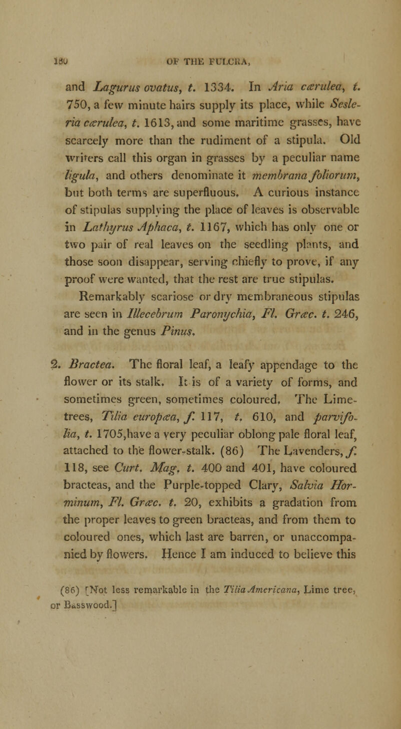 MU OF THE FUU and Lagurus ovatus, t. 1334. In Aria carulea, t. 750, a tew minute hairs supply its place, while Sesle- riaazrulea, t. 1613, and some maritime grasses, have scarcely more than the rudiment of a stipula. Old writers call this organ in grasses by a peculiar name ligula, and others denominate it membrana foliorum, but both terms are superfluous. A curious instance of stipulas supplying the place of leaves is observable in Lathyrus Aphaca, t. 1167, which has only one or two pair of real leaves on the seedling plants, and those soon disappear, serving chiefly to prove, if any proof were wanted, that the rest are true stipulas. Remarkably scariose or dry membraneous stipulas are seen in lllecebrum Paronychia, Fl. Grac. t. 246, and in the genus Pinus. 2. Bractea. The floral leaf, a leaf)' appendage to the flower or its stalk. It is of a variety of forms, and sometimes green, sometimes coloured. The Lime- trees, Tilia europaea, f. 117, t. 610, and parvifo- lia, t. 1705,havea very peculiar oblong pale floral leaf, attached to the flower-stalk. (86) The Lavenders, ./^ 118, see Curt. Mag, t. 400 and 401, have coloured bracteas, and the Purple-topped Clary, Salvia Hor- minum, Fl. Grac. t. 20, exhibits a gradation from the proper leaves to green bracteas, and from them to coloured ones, which last are barren, or unaccompa- nied by flowers. Hence I am induced to believe this (86) rNot less remarkable in the Tiliarfmericana, Lime tree, or Basswood.]