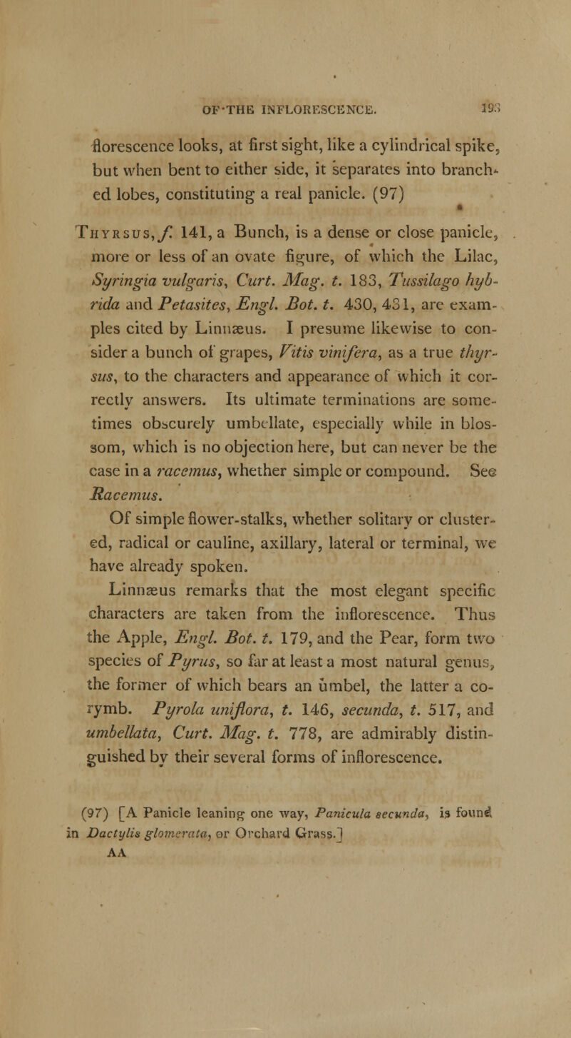 florescence looks, at first sight, like a cylindrical spike, but when bent to either side, it separates into branch^ ed lobes, constituting a real panicle. (97) Thyrsus,/! 141, a Bunch, is a dense or close panicle, more or less of an ovate figure, of which the Lilac, Syringia vulgaris, Curt. Mag. t. 183, Tussilago hyb- rida and Petasites, Engl. Bot. t. 430, 431, are exam- ples cited by Linnaeus. I presume likewise to con- sider a bunch of grapes, Vitis vinifera, as a true thyr- sus, to the characters and appearance of which it cor- rectly answers. Its ultimate terminations are some- times obscurely umbellate, especially while in blos- som, which is no objection here, but can never be the case in a racemus, whether simple or compound. See Racemus. Of simple flower-stalks, whether solitary or cluster- ed, radical or cauline, axillary, lateral or terminal, we have already spoken. Linnaeus remarks that the most elegant specific characters are taken from the inflorescence. Thus the Apple, Engl. Bot. t. 179, and the Pear, form two species of Pyrus, so far at least a most natural genus, the former of which bears an umbel, the latter a co- rymb. Pyrola uniflora, t. 146, secunda, t. 517, and umbellata, Curt. Mag. t. 778, are admirably distin- guished by their several forms of inflorescence. (97) [A Panicle leaning one way, Panicula secunda, i% foun^ in Dactylis glomcrata, or Orchard Grass.] A A