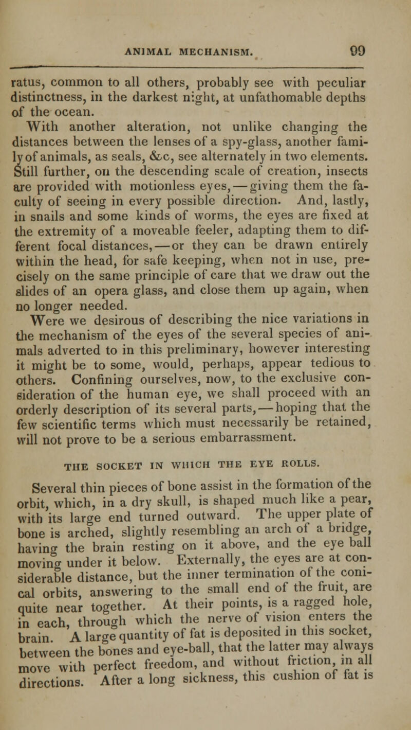 ratus, common to all others, probably see with peculiar distinctness, in the darkest night, at unfathomable depths of the ocean. With another alteration, not unlike changing the distances between the lenses of a spy-glass, another fami- ly of animals, as seals, &c, see alternately in two elements. Still further, on the descending scale of creation, insects are provided with motionless eyes, — giving them the fa- culty of seeing in every possible direction. And, lastly, in snails and some kinds of worms, the eyes are fixed at the extremity of a moveable feeler, adapting them to dif- ferent focal distances, — or they can be drawn entirely within the head, for safe keeping, when not in use, pre- cisely on the same principle of care that we draw out the slides of an opera glass, and close them up again, when no longer needed. Were we desirous of describing the nice variations in the mechanism of the eyes of the several species of ani- mals adverted to in this preliminary, however interesting it might be to some, would, perhaps, appear tedious to others. Confining ourselves, now, to the exclusive con- sideration of the human eye, we shall proceed with an orderly description of its several parts, — hoping that the few scientific terms which must necessarily be retained, will not prove to be a serious embarrassment. THE SOCKET IN WHICH THE EYE ROLLS. Several thin pieces of bone assist in the formation of the orbit, which, in a dry skull, is shaped much like a pear, with its large end turned outward. The upper plate of bone is arched, slightly resembling an arch of a bridge, having the brain resting on it above, and the eye ball moving under it below. Externally, the eyes are at con- siderable distance, but the inner termination of the coni- cal orbits, answering to the small end of the fruit are quite near together. At their points, is a ragged hole, in each, through which the nerve of vision enters the brain A large quantity of fat is deposited in this socket, between the bones and eye-ball, that the latter may always move with perfect freedom, and without friction in all directions. After a long sickness, this cushion of fat is