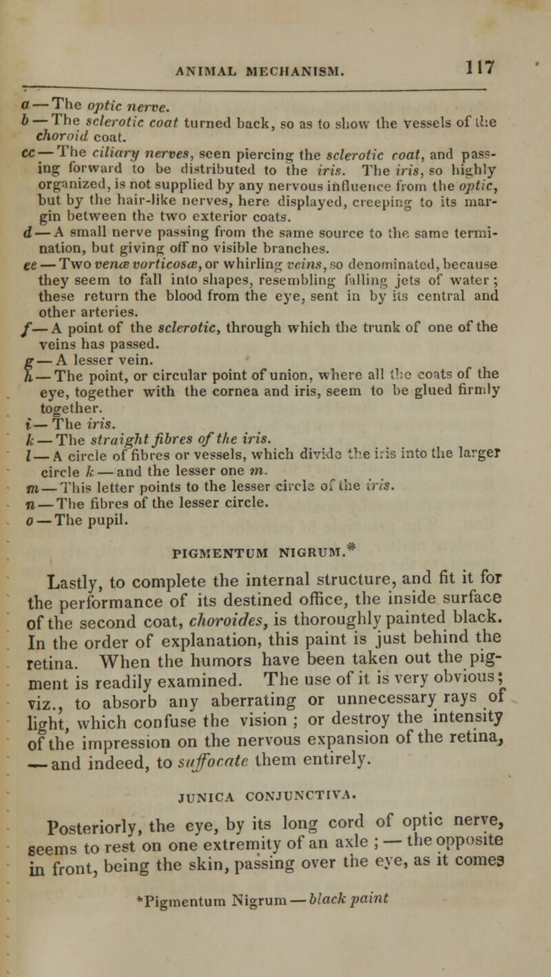 a — The optic nerve. b — The sclerotic coat turned back, so as to show the vessels of the choroid coat. CC — The ciliary nerves, seen piercing the sclerotic coat, and pass- ing forward to be distributed to the iri.i. The iris, so highly organized, is not supplied by any nervous influence from the optic, but by the hair-like nerves, here displayed, creeping to its mar- gin between the two exterior coats. d — A small nerve passing from the same source to the same termi- nation, but giving off no visible branches. ee — Two vencevorticosce,ov whirling veins, so denominated, because they seem to fall into shapes, resembling falling jets of water; these return the blood from the eye, sent in by its central and other arteries. f—A point of the sclerotic, through which the trunk of one of the veins has passed. — A lesser vein. — The point, or circular point of union, where all the coats of the eye, together with the cornea and iris, seem to be glued firmly together. t— The iris. I; — The straight fibres of the iris. I — a circle of fibres or vessels, which divide the iris into the larger circle k — and the lesser one m. m — This letter points to the lesser circle of the iris. n — The fibres of the lesser circle. o — The pupil. PIGMENTUM NIGRUM.* Lastly, to complete the internal structure, and fit it for the performance of its destined office, the inside surface of the second coat, choroides, is thoroughly painted black. In the order of explanation, this paint is just behind the retina. When the humors have been taken out the pig- ment is readily examined. The use of it is very obvious; viz., to absorb any aberrating or unnecessary rays of light, which confuse the vision ; or destroy the intensity of the impression on the nervous expansion of the retina, — and indeed, to suffocate them entirely. JUNICA CONJUNCTIVA. Posteriorly, the eye, by its long cord of optic nerve, seems to rest on one extremity of an axle ; — the opposite in front, being the skin, passing over the eye, as it cornea *Pigmentum Nigrum — black paint
