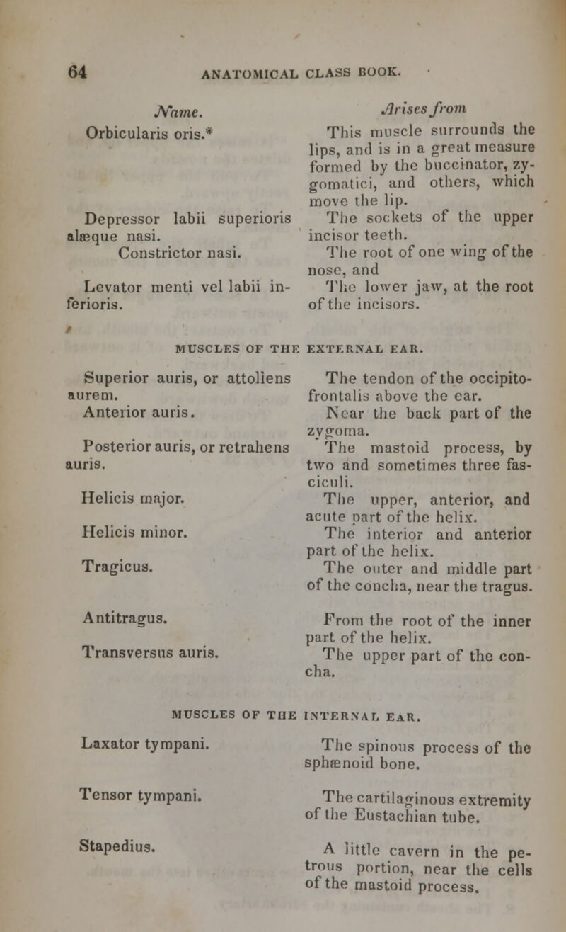 JVawie. Orbicularis oris.* Depressor labii superioris alasque nasi. Constrictor nasi. Levator menti vel labii in- ferioris. Arises from This muscle surrounds the lips, and is in a great measure formed by the buccinator, zy- gomatic i, and others, which move the lip. The sockets of the upper incisor teeth. The root of one wing of the nose, and The lower jaw, at the root of the incisors. MUSCLES OF THE EXTERNAL EAR. Superior auris, or attoliens aurem. Anterior auris. Posterior auris, or retrahens auris. Helicis major. Helicis minor. Tragicus. Antitragus. Transversus auris. The tendon of the occipito- frontalis above the ear. Near the back part of the zygoma. The mastoid process, by two and sometimes three fas- ciculi. The upper, anterior, and acute part of the helix. The interior and anterior part of the helix. The outer and middle part of the concha, near the tragus. From the root of the inner part of the helix. The upper part of the con- cha. Laxator tympani Tensor tympani. Stapedius. MUSCLES OF THE INTERNAL EAR. The spinous process of the sphrenoid bone. The cartilaginous extremity of the Eustachian tube. A little cavern in the pe- trous portion, near the cells of the mastoid process.