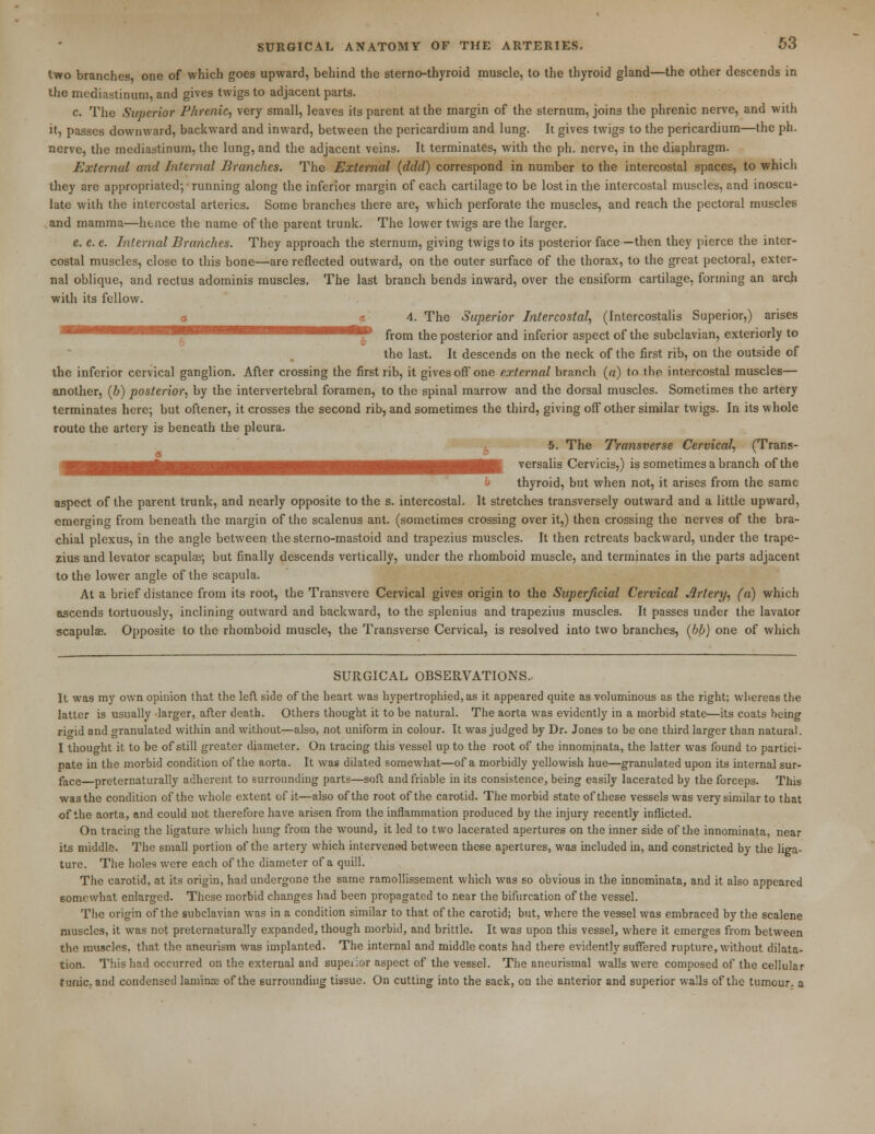 two branches, one of which goes upward, behind the sterno-thyroid muscle, to the thyroid gland—the other descends in the mediastinum, and gives twigs to adjacent parts. c. The Superior Phrenic, very small, leaves its parent at the margin of the sternum, joins the phrenic nerve, and with it, passes downward, backward and inward, between the pericardium and lung. It gives twigs to the pericardium—the ph. nerve, the mediastinum, the lung, and the adjacent veins. It terminates, with the ph. nerve, in the diaphragm. External and Internal Branches. The External (ddd) correspond in number to the intercostal spaces, to which they are appropriated; running along the inferior margin of each cartilage to be lost in the intercostal muscles, and inoscu- late with the intercostal arteries. Some branches there are, which perforate the muscles, and reach the pectoral muscles and mamma—hence the name of the parent trunk. The lower twigs are the larger. e. e. e. Internal Branches. They approach the sternum, giving twigs to its posterior face—then they pierce the inter- costal muscles, close to this bone—are reflected outward, on the outer surface of the thorax, to the great pectoral, exter- nal oblique, and rectus adominis muscles. The last branch bends inward, over the ensiform cartilage, forming an arch with its fellow. o «r 4. The Superior Intercostal, (Intercostalis Superior,) arises ***■' from the posterior and inferior aspect of the subclavian, exteriorly to the last. It descends on the neck of the first rib, on the outside of the inferior cervical ganglion. After crossing the first rib, it gives off one external branch (a) to the intercostal muscles— another, (b) posterior, by the intervertebral foramen, to the spinal marrow and the dorsal muscles. Sometimes the artery terminates here; but oftener, it crosses the second rib, and sometimes the third, giving off other similar twigs. In its whole route the artery is beneath the pleura. 5. The Transverse Cervical, (Trans- a a v versalis Cervicis,) is sometimes a branch of the b thyroid, but when not, it arises from the same aspect of the parent trunk, and nearly opposite to the s. intercostal. It stretches transversely outward and a little upward, emerging from beneath the margin of the scalenus ant. (sometimes crossing over it,) then crossing the nerves of the bra- chial plexus, in the angle between the sterno-mastoid and trapezius muscles. It then retreats backward, under the trape- zius and levator scapulae; but finally descends vertically, under the rhomboid muscle, and terminates in the parts adjacent to the lower angle of the scapula. At a brief distance from its root, the Transvere Cervical gives origin to the Superficial Cervical Jlrtery, (a) which ascends tortuously, inclining outward and backward, to the splenius and trapezius muscles. It passes under the lavator scapulae. Opposite to the rhomboid muscle, the Transverse Cervical, is resolved into two branches, (bb) one of which SURGICAL OBSERVATIONS.- It was my own opinion that the lefl side of the heart was hypertrophied, as it appeared quite as voluminous as the right; whereas the latter is usually larger, after death. Others thought it to be natural. The aorta was evidently in a morbid state—its coats being ri<rid and granulated within and without—also, not uniform in colour. It was judged by Dr. Jones to be one third larger than natural. I thought it to be of still greater diameter. On tracing this vessel up to the root of the innominata, the latter was found to partici- pate in the morbid condition of the aorta. It was dilated somewhat—of a morbidly yellowish hue—granulated upon its internal sur- face—preternaturally adherent to surrounding parts—soft and friable in its consistence, being easily lacerated by the forceps. This was the condition of the whole extent of it—also of the root of the carotid. The morbid state of these vessels was very similar to that of the aorta, and could not therefore have arisen from the inflammation produced by the injury recently inflicted. On tracing the ligature which hung from the wound, it led to two lacerated apertures on the inner side of the innominata, near its middle. The small portion of the artery which intervened between these apertures, was included in, and constricted by the liga- ture. The holes were each of the diameter of a quill. The carotid, at its origin, had undergone the same ramollissement which was so obvious in the innominata, and it also appeared somewhat enlarged. These morbid changes had been propagated to near the bifurcation of the vessel. The origin of the subclavian was in a condition similar to that of the carotid; but, where the vessel was embraced by the scalene muscles, it was not preternaturally expanded, though morbid, and brittle. It was upon this vessel, where it emerges from between the muscles, that the aneurism was implanted. The internal and middle coats had there evidently suffered rupture, without dilata- tion. This had occurred on the external and supei.or aspect of the vessel. The aneurismal walls were composed of the cellular tunic, and condensed laminae of the surrounding tissue. On cutting into the sack, on the anterior and superior walls of the tumour, a