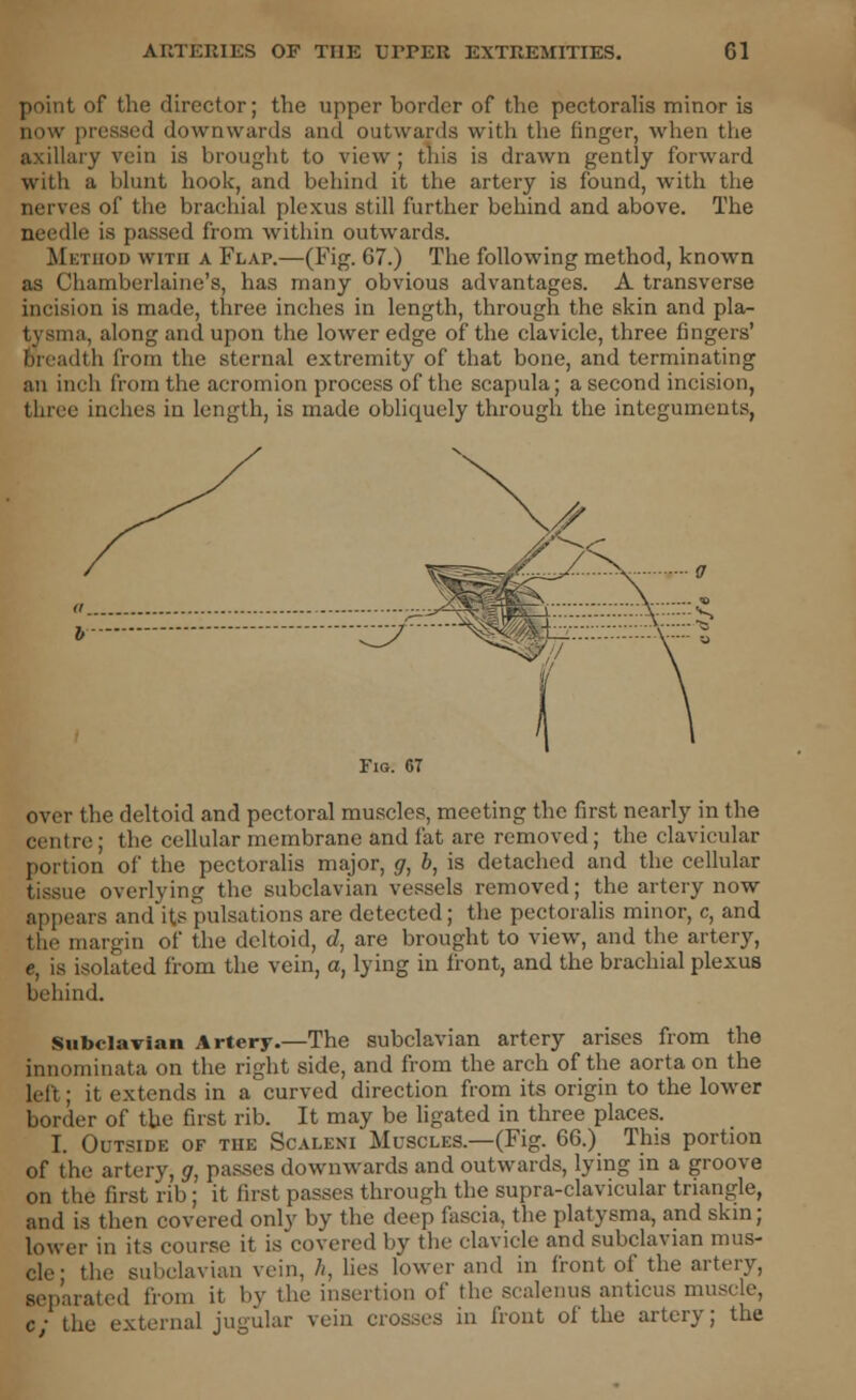 point of the director; the upper border of the pectoralis minor is now pressed downwards and outwards with the finger, when the axillary vein is brought to view; this is drawn gently forward with a blunt hook, and behind it the artery is found, with the nerves of the brachial plexus still further behind and above. The needle is passed from within outwards. Method with a Flap.—(Fig. 67.) The following method, known as Chamberlaine's, has many obvious advantages. A transverse incision is made, three inches in length, through the skin and pla- tysma, along and upon the lower edge of the clavicle, three fingers' Breadth from the sternal extremity of that bone, and terminating an inch from the acromion process of the scapula; a second incision, three inches in length, is made obliquely through the integuments, Fig. 67 over the deltoid and pectoral muscles, meeting the first nearly in the centre; the cellular membrane and fat are removed; the clavicular portion of the pectoralis major, g, b, is detached and the cellular tissue overlying the subclavian vessels removed; the artery now ars and its pulsations are detected; the pectoralis minor, c, and the margin of the deltoid, d, are brought to view, and the artery, c, is isolated from the vein, a, lying in front, and the brachial plexus behind. Subclavian Artery.—The subclavian artery arises from the innominata on the right side, and from the arch of the aorta on the lefl ; it extends in a curved direction from its origin to the lower border of the first rib. It may be ligated in three places. I. Outside of the Scaleni Muscles.—(Fig. 66.) This portion of the artery, g, passes downwards and outwards, lying in a groove on the first rib; it first passes through the supra-clavicular triangle, and is then covered only by the deep fascia, the platysma, and skin; lower in its course it is covered by the clavicle and subclavian mus- cle- the subclavian vein, h, lies lower and in front of the artery, separated from it by the insertion of the scalenus antieus muscle, c the external jugular vein crosses in front of the artery; the