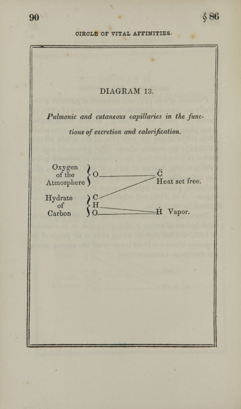 CIRCLE OF VITAL AFFINITIES- DIAGRAM 13. Pulmonic and cutaneous capillaries in the func- tions of excretion and calorification. Oxygen ) of the > O ___ C Atmosphere ) ^^-^Heat set free. Hydrate ) C- of >H Carbon )Q H Vapor.