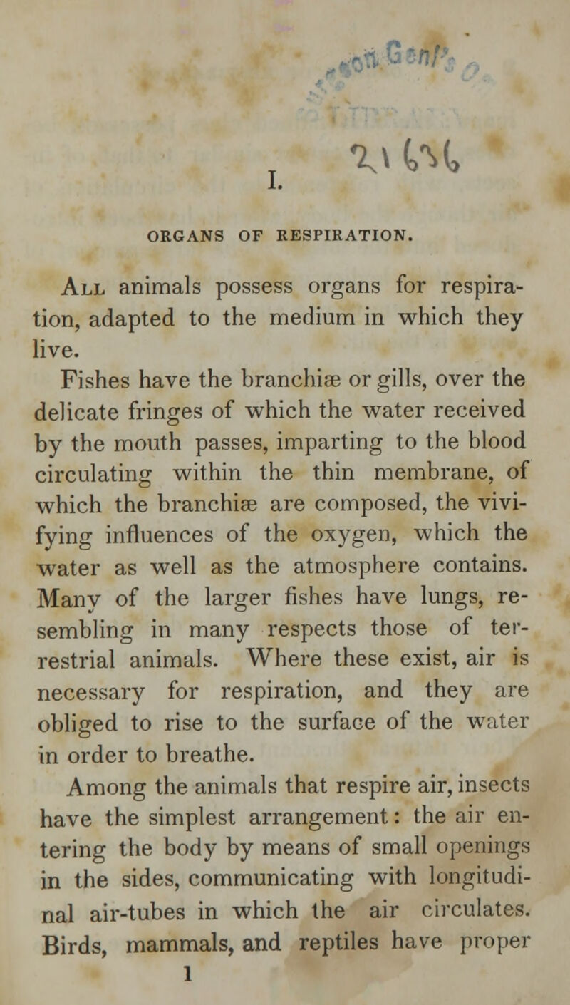 •MtM, ORGANS OF RESPIRATION. All animals possess organs for respira- tion, adapted to the medium in which they live. Fishes have the branchiae or gills, over the delicate fringes of which the water received by the mouth passes, imparting to the blood circulating within the thin membrane, of which the branchiae are composed, the vivi- fying influences of the oxygen, which the water as well as the atmosphere contains. Many of the larger fishes have lungs, re- sembling in many respects those of ter- restrial animals. Where these exist, air is necessary for respiration, and they are obliged to rise to the surface of the water in order to breathe. Among the animals that respire air, insects have the simplest arrangement: the air en- tering the body by means of small openings in the sides, communicating with longitudi- nal air-tubes in which the air circulates. Birds, mammals, and reptiles have proper