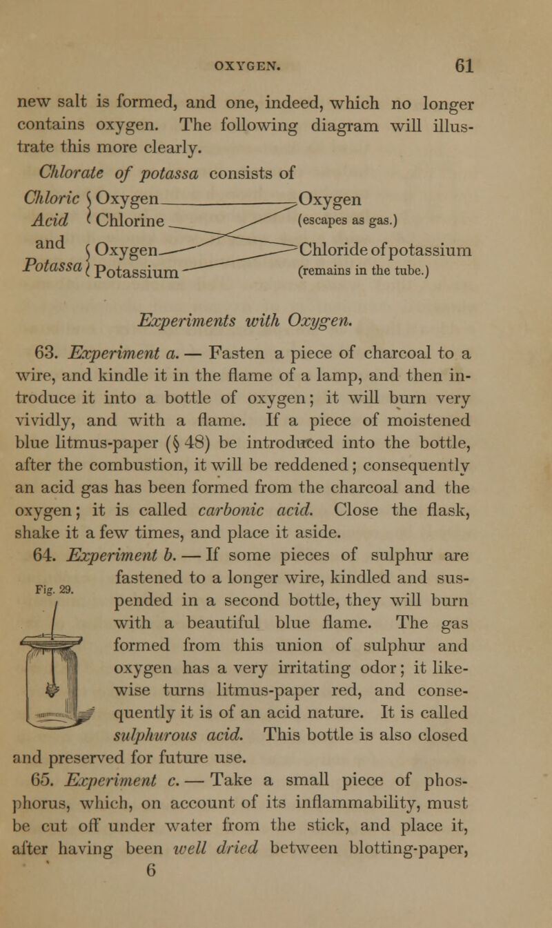 new salt is formed, and one, indeed, which no longer contains oxygen. The following diagram will illus- trate this more clearly. Chlorate of potassa consists of Chloric {Oxygen _,Oxygen Acid < Chlorine ^^^ (escapes as gas.) and $ Oxygen—-^ ^____——Chloride of potassium JrOtaSSa (| Potassium  (remains in the tube.) Experiments with Oxygen. 63. Experiment a. — Fasten a piece of charcoal to a wire, and kindle it in the flame of a lamp, and then in- troduce it into a bottle of oxygen; it will burn very vividly, and with a flame. If a piece of moistened blue litmus-paper (§ 48) be introduced into the bottle, after the combustion, it will be reddened; consequently an acid gas has been formed from the charcoal and the oxygen; it is called carbonic acid. Close the flask, shake it a few times, and place it aside. 64. Experiment b. — If some pieces of sulphur are fastened to a longer wire, kindled and sus- Fi 29 i pended in a second bottle, they will burn with a beautiful blue flame. The gas formed from this union of sulphur and oxygen has a very irritating odor; it like- wise turns litmus-paper red, and conse- quently it is of an acid nature. It is called sulphurous acid. This bottle is also closed and preserved for future use. 65. Experiment c. — Take a small piece of phos- phorus, which, on account of its inflammability, must be cut off under water from the stick, and place it, after having been well dried between blotting-paper, 6