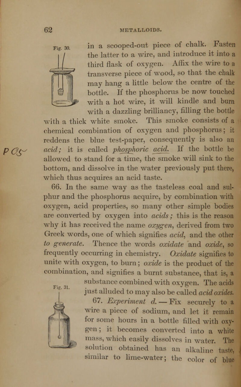 Fig. 30. in a scooped-out piece of chalk. Fasten the latter to a wire, and introduce it into a third flask of oxygen. Affix the wire to a transverse piece of wood, so that the chalk- may hang a little below the centre of the bottle. If the phosphorus be now touched with a hot wire, it will kindle and burn with a dazzling brilliancy, filling the bottle with a thick white smoke. This smoke consists of a chemical combination of oxygen and phosphorus; it reddens the blue test-paper, consequently is also an acid; it is called phosphoric acid. If the bottle be allowed to stand for a time, the smoke will sink to the bottom, and dissolve in the water previously put there, which thus acquires an acid taste. 66. In the same way as the tasteless coal and sul- phur and the phosphorus acquire, by combination with oxygen, acid properties, so many other simple bodies are converted by oxygen into acids; this is the reason why it has received the name oxygen, derived from two Greek words, one of which signifies acid, and the other to generate. Thence the words oxidate and oxide, so frequently occurring in chemistry. Oxidate signifies to unite with oxygen, to burn; oxide is the product of the combination, and signifies a burnt substance, that is, a substance combined with oxygen. The acids just alluded to may also be called acid oxides. 67. Experiment d. — Fix securely to a wire a piece of sodium, and let it remain for some hours in a bottle filled with oxy- gen; it becomes converted into a white mass, which easily dissolves in water. The solution obtained has an alkaline taste, similar to lime-water; the color of blue Fig. 31.