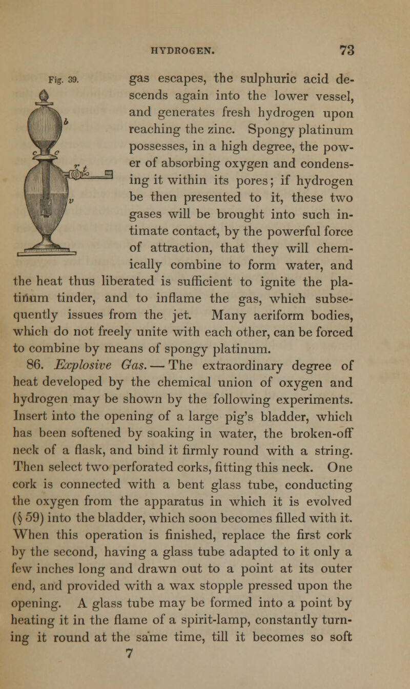 Fig. 39. gas escapes, the sulphuric acid de- scends again into the lower vessel, and generates fresh hydrogen upon reaching the zinc. Spongy platinum possesses, in a high degree, the pow- er of absorbing oxygen and condens- ing it within its pores; if hydrogen be then presented to it, these two gases will be brought into such in- timate contact, by the powerful force of attraction, that they will chem- ically combine to form water, and the heat thus liberated is sufficient to ignite the pla- tinum tinder, and to inflame the gas, which subse- quently issues from the jet. Many aeriform bodies, which do not freely unite with each other, can be forced to combine by means of spongy platinum. 86. Explosive Gas. — The extraordinary degree of heat developed by the chemical union of oxygen and hydrogen may be shown by the following experiments. Insert into the opening of a large pig's bladder, which has been softened by soaking in water, the broken-off neck of a flask, and bind it firmly round with a string. Then select two perforated corks, fitting this neck. One cork is connected with a bent glass tube, conducting the oxygen from the apparatus in which it is evolved (§ 59) into the bladder, which soon becomes filled with it. When this operation is finished, replace the first cork by the second, having a glass tube adapted to it only a few inches long and drawn out to a point at its outer end, and provided with a wax stopple pressed upon the opening. A glass tube may be formed into a point by heating it in the flame of a spirit-lamp, constantly turn- ing it round at the same time, till it becomes so soft 7