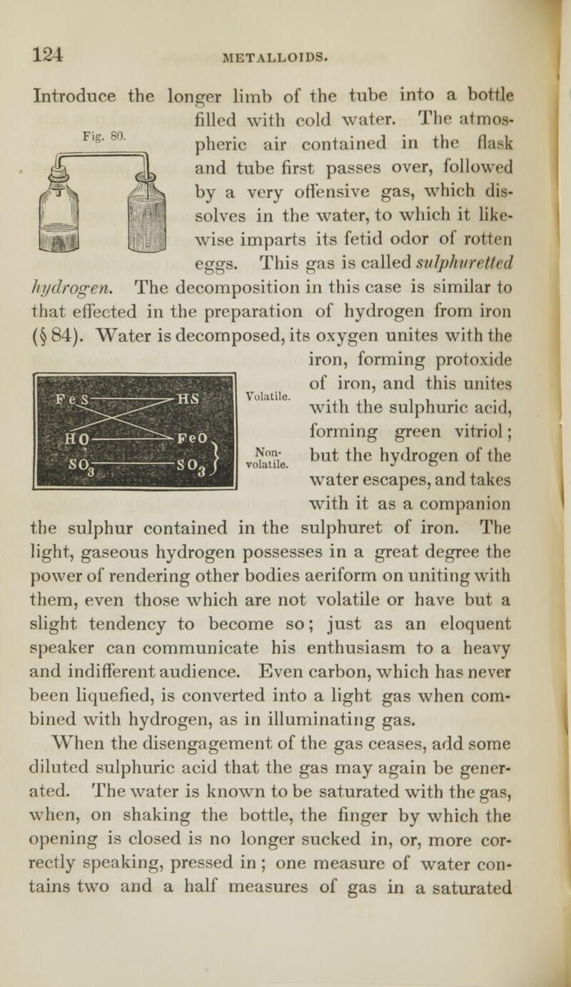Volatile. Introduce the longer limb of the tube into a bottle filled with cold water. The atmos- pheric air contained in the flask and tube first passes over, followed by a very offensive gas, which dis- solves in the water, to which it like- wise imparts its fetid odor of rotten eggs. This gas is called sulphuretted hydrogen. The decomposition in this case is similar to that effected in the preparation of hydrogen from iron (§ 84). Water is decomposed, its oxygen unites with the iron, forming protoxide of iron, and this unites with the sulphuric acid, forming green vitriol; but the hydrogen of the water escapes, and takes with it as a companion the sulphur contained in the sulphuret of iron. The light, gaseous hydrogen possesses in a great degree the power of rendering other bodies aeriform on uniting with them, even those which are not volatile or have but a slight tendency to become so; just as an eloquent speaker can communicate his enthusiasm to a heavy and indifferent audience. Even carbon, which has never been liquefied, is converted into a light gas when com- bined with hydrogen, as in illuminating gas. When the disengagement of the gas ceases, add some diluted sulphuric acid that the gas may again be gener- ated. The water is known to be saturated with the gas, when, on shaking the bottle, the finger by which the opening is closed is no longer sucked in, or, more cor- rectly speaking, pressed in ; one measure of water con- tains two and a half measures of gas in a saturated