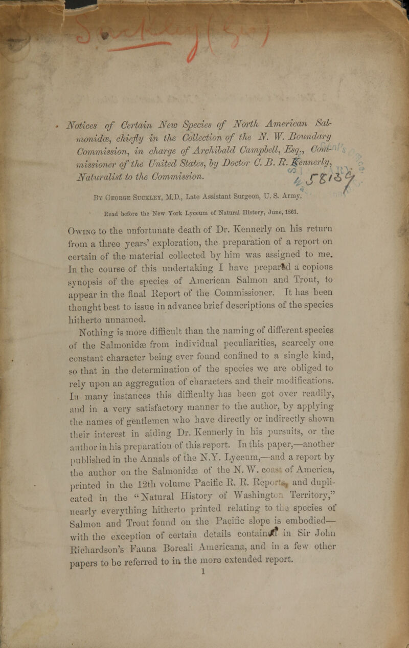 V Notices of Certain New Species of North American Sal- monidw, chief]/ in the Collection of the N. W. Boundary Commission, in charge of Archibald Campbell, Esq., Com- missioner of the United States, by Doctor C. B. R. Jgennerly. Naturalist to the Commission. , CfelZi/ By Geoege Stjckley, M.D., Late Assistant Surgeon, U. S. Army. Bead before the New York Lyceum of Natural History, June, 1861. Owing to the unfortunate death of Dr. Kennerly on his return from a three years' exploration, the preparation of a report on certain of the material collected by him was assigned to me. In the course of this undertaking I have prepared a copious synopsis of the species of American Salmon and Trout, to appear in the final Report of the Commissioner. It has been thought best to issue in advance brief descriptions of the species hitherto unnamed. Nothing is more difficult than the naming of different species of the Salmonidie from individual peculiarities, scarcely one constant character being ever found confined to a single kind, so that in the determination of the species we are obliged to rely upon an aggregation of characters and their modifications. In many instances this difficulty has been got over readily, and in a very satisfactory manner to the author, by applying the names of gentlemen who have directly or indirectly shown their interest in aiding Dr. Kennerly in his pursuits, or the author in his preparation of this report, In this paper—another published in the Annals of the N.Y. Lyceum,—and a report by the author on the SalmonidaB of the N. W. coasl of America, printed in the 12th volume Pacific R. R. Rcp< :», and dupli- cated in the Natural History of Washingto! Territory, nearly everything hitherto printed relating to the species of Salmon and Trout found on the Pacific slope is embodied— with the exception of certain details contain**? in Sir John Richardson's Fauna Boreali Americana, and in a few other papers to be referred to in the more extended report.