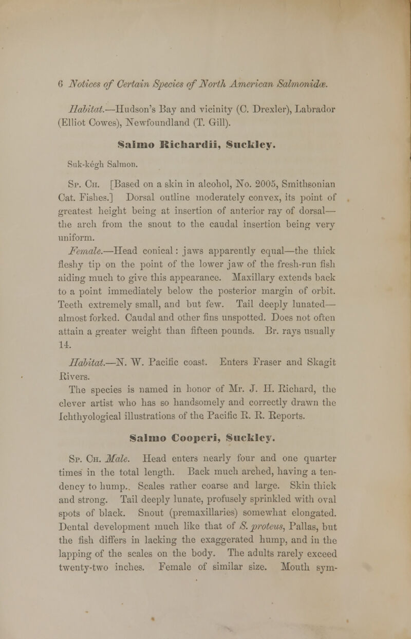 Habitat.-—Hudson's Bay and vicinity (C. Drexler), Labrador (Elliot Cowes), Newfoundland (T. Gill). Saiino Richardii, Suckley. Snk-kegh Salmon. Sp. Cit. [Based on a skin in alcohol, No. 2005, Smithsonian Cat. Fishes.] Dorsal outline moderately convex, its point of greatest height being at insertion of anterior ray of dorsal— the arch from the snout to the caudal insertion being very uniform. Female.—Head conical: jaws apparently equal—the thick fleshy tip on the point of the lower jaw of the fresh-run fish aiding much to give this appearance. Maxillary extends back to a point immediately below the posterior margin of orbit. Teeth extremely small, and but few. Tail deeply lunated— almost forked. Caudal and other fins unspotted. Does not often attain a greater weight than fifteen pounds. Br. rays usually 14. Habitat.—N. W. Pacific coast. Enters Eraser and Skagit Hi vers. The species is named in honor of Mr. J. H. Richard, the clever artist who has so handsomely and correctly drawn the Ichthyological illustrations of the Pacific R. R. Reports. Salmo Cooperi, Suckley. Sp. Ch. Male. Head enters nearly four and one quarter times in the total length. Back much arched, having a ten- dency to hump.. Scales rather coarse and large. Skin thick and strong. Tail deeply lunate, profusely sprinkled with oval spots of black. Snout (premaxillaries) somewhat elongated. Dental development much like that of S.proteus, Pallas, but the fish differs in lacking the exaggerated hump, and in the lapping of the scales on the body. The adults rarely exceed twenty-two inches. Female of similar size. Mouth sym-