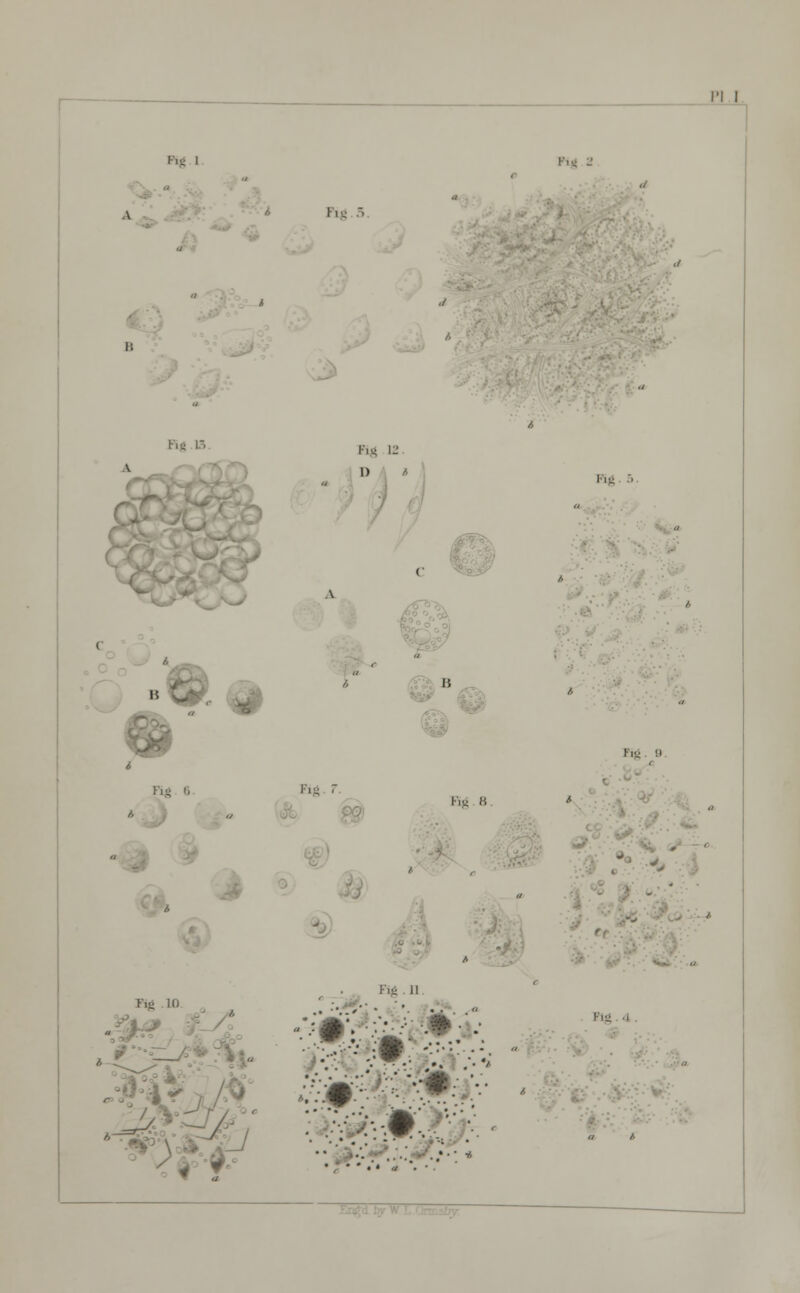 I,., I A I,-, 5 r* Fig 12 1) 1 Pig ■ '«. Fig 6 Kg 1 , a ' . /, 15 Fig. 9 Fig r im B '/ J ' v. :■ Fig ii Fig , • • •.« „ . •.