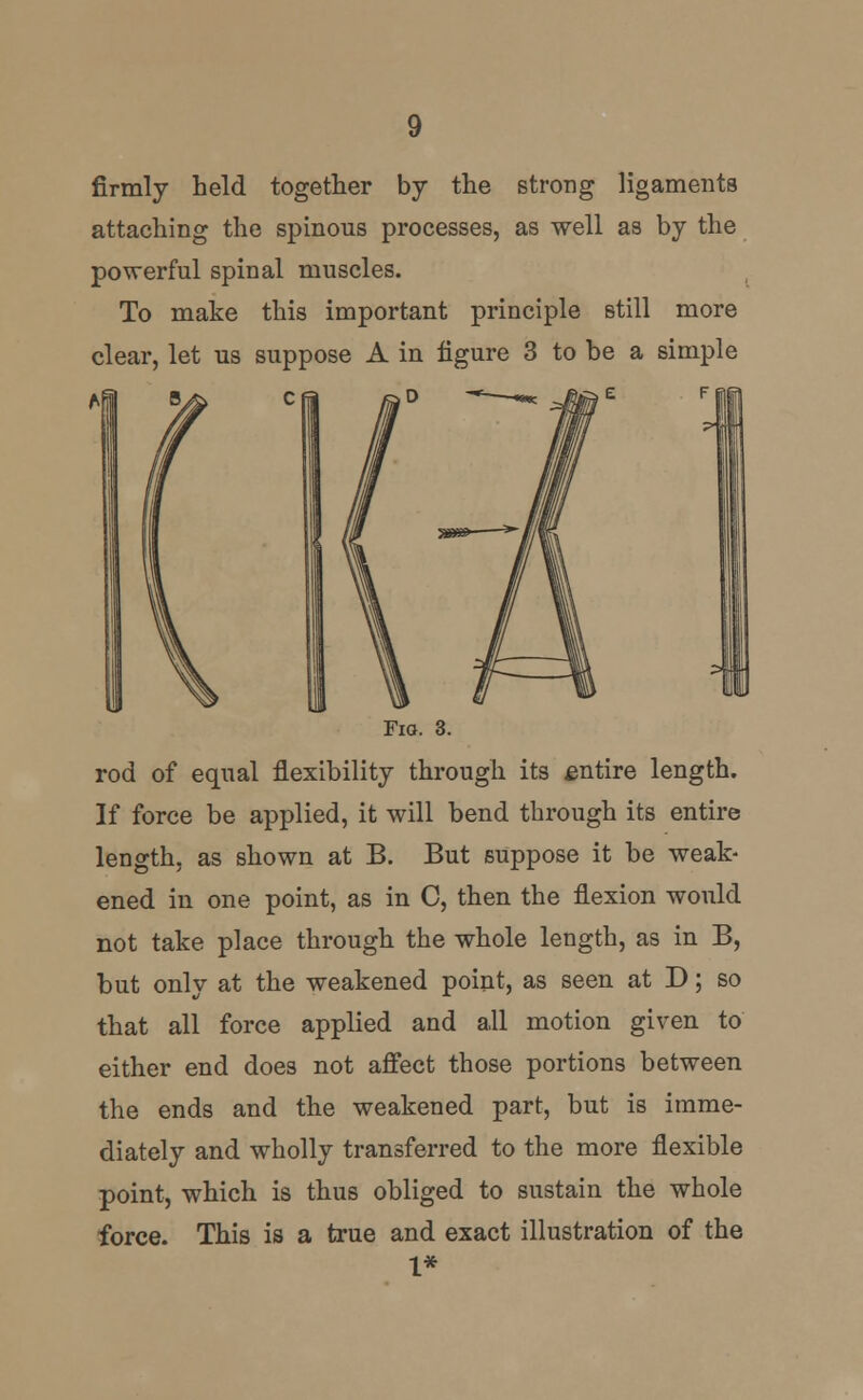 firmly held together by the strong ligaments attaching the spinous processes, as well as by the powerful spinal muscles. To make this important principle still more clear, let us suppose A in figure 3 to be a simple s^ era /a d ^——~ .«a e f i - Fig. 3. rod of equal flexibility through its entire length. If force be applied, it will bend through its entire length, as shown at B. But suppose it be weak- ened in one point, as in C, then the flexion would not take place through the whole length, as in B, but only at the weakened point, as seen at D; so that all force applied and all motion given to either end does not affect those portions between the ends and the weakened part, but is imme- diately and wholly transferred to the more flexible point, which is thus obliged to sustain the whole force. This is a true and exact illustration of the 1*