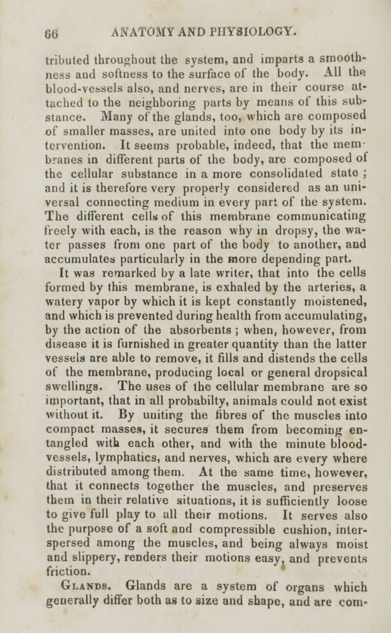 tributed throughout the system, and imparts a smooth- ness and softness to the surface of the body. All the blood-vessels also, and nerves, are in their course at- tached to the neighboring parts by means of this sub- stance. Many of the glands, too, which are composed of smaller masses, are united into one body by its in- tervention. It seems probable, indeed, that the mem- branes in different parts of the body, are composed of the cellular substance in a more consolidated state ; and it is therefore very properly considered as an uni- versal connecting medium in every part of the system. The different cells of this membrane communicating freely with each, is the reason why in dropsy, the wa- ter passes from one part of the body to another, and accumulates particularly in the more depending part. It was remarked by a late writer, that into the cells formed by this membrane, is exhaled by the arteries, a watery vapor by which it is kept constantly moistened, and which is prevented during health from accumulating, by the action of the absorbents ; when, however, from disease it is furnished in greater quantity than the latter vessels are able to remove, it fills and distends the cells of the membrane, producing local or general dropsical swellings. The uses of the cellular membrane are so important, that in all probabilty, animals could not exist without it. By uniting the fibres of the muscles into compact masses, it secures them from becoming en- tangled with each other, and with the minute blood- vessels, lymphatics, and nerves, which are every where distributed among them. At the same time, however, that it connects together the muscles, and preserves them in their relative situations, it is sufficiently loose to give full play to all their motions. It serves also the purpose of a soft and compressible cushion, inter- spersed among the muscles, and being always moist and slippery, renders their motions easy, and prevents friction. Glands. Glands are a system of organs which generally differ both as to size and shape, and are com-