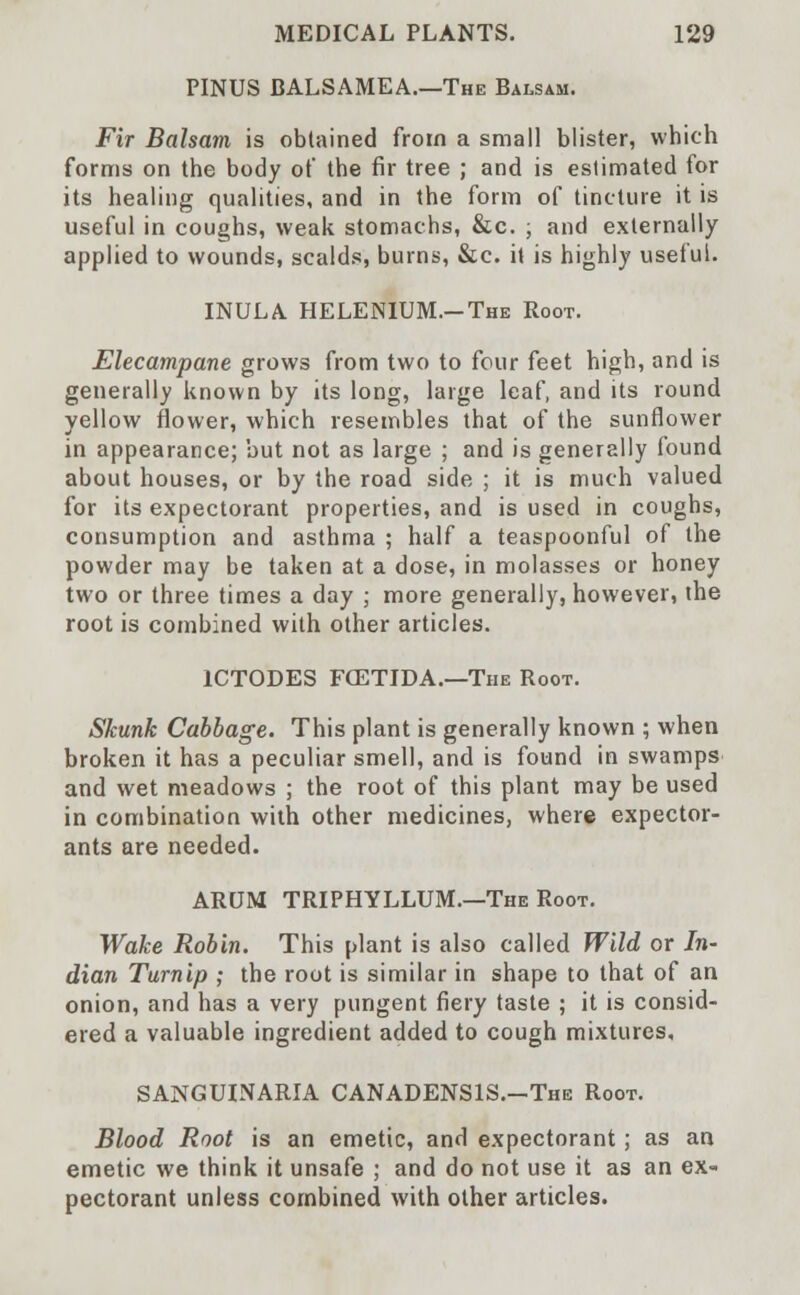 PINUS BALSAMEA.—The Balsam. Fir Balsam is obtained from a small blister, which forms on the body of the fir tree ; and is estimated for its healing qualities, and in the form of tincture it is useful in coughs, weak stomachs, &c. ; and externally applied to wounds, scalds, burns, &c. it is highly useful. INULA HELENIUM.-The Root. Elecampane grows from two to four feet high, and is generally known by its long, large leaf, and its round yellow flower, which resembles that of the sunflower in appearance; but not as large ; and is generally found about houses, or by the road side ; it is much valued for its expectorant properties, and is used in coughs, consumption and asthma ; half a teaspoonful of the powder may be taken at a dose, in molasses or honey two or three times a day ; more generally, however, the root is combined with other articles. 1CTODES FOETIDA.—The Root. Skunk Cabbage. This plant is generally known ; when broken it has a peculiar smell, and is found in swamps and wet meadows ; the root of this plant may be used in combination with other medicines, where expector- ants are needed. ARUM TRIPHYLLUM.—The Root. Wake Robin. This plant is also called Wild or In- dian Turnip ; the root is similar in shape to that of an onion, and has a very pungent fiery taste ; it is consid- ered a valuable ingredient added to cough mixtures, SANGUINARIA CANADENSIS.-The Root. Blood Root is an emetic, and expectorant; as an emetic we think it unsafe ; and do not use it as an ex- pectorant unless combined with other articles.